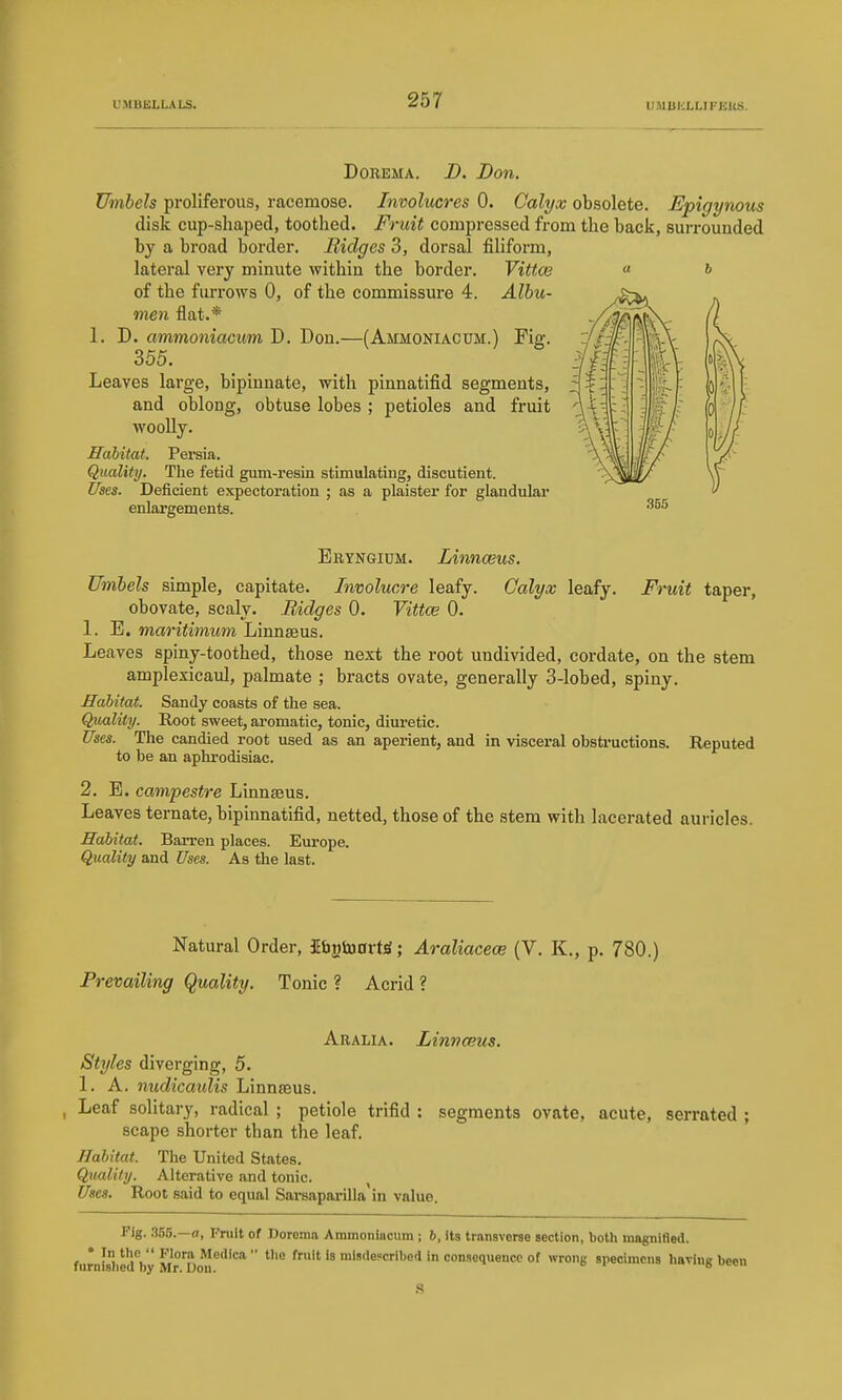 DoREMA. D, Don. Umbels proliferous, racemose. Involucres 0. Calyx obsolete. Epigynous disk cup-shaped, toothed. Fruit compressed from the back, surrounded bj a broad border. Bidges 3, dorsal filiform, lateral very minute within the border. Vitto} « 6 of the furrows 0, of the commissure 4. Albu- men flat.* 1. D. ammoniacum D. Don.—(Ammoniacum.) 355. Leaves large, bipinuate, with pinnatifid segments, and oblong, obtuse lobes ; petioles and fruit woolly. Habitat. Pei-sia. Quality. The fetid gum-resin stimulating, discutient. Uses. Deficient expectoration ; as a plaister for glandular enlargements. Fig. Eryngidm. Linnaeus. Umbels simple, capitate. Involucre leafy. Calyx leafy. Fruit taper, obovate, scaly. Ridges 0. Vittw 0. 1. E. maritimum Linnaeus. Leaves spiny-toothed, those next the root undivided, cordate, on the stem amplexicaul, palmate ; bracts ovate, generally 3-lobed, spiny. Habitat. Sandy coasts of the sea. Quality. Root sweet, aromatic, tonic, diuretic. Uses. The candied root used as an aperient, and in visceral obstructions. Reputed to be an aphrodisiac. 2. E. campestre Linnaeus. Leaves ternate, bipinnatifid, netted, those of the stem with lacerated auricles. Habitat. Barren places. Europe. Quality and Uses. As the last. Natural Order, IfagtoorW; Araliacece (V. K., p. 780.) Prevailing Quality. Tonic ? Acrid ? Aralia. I/innceus. Styles diverging, 5. 1. A. nudicaulis Linnaeus. Leaf solitary, radical ; petiole trifid : segments ovate, acute, serrated ; scape shorter than tlie leaf. Habitat. The United States. Quality. Alterative and tonic. , Uses. Root said to equal Sarsaparilla in value. Fig. 355.—a, Fruit of Dorema Ammoniacum ; 6, its transverse section, both magnified. • In tlie  Flora Medica  tlie fruit is mlsdescribed in consequence of wrong specimens liavinir been furnisliea by Mr. Uon. °