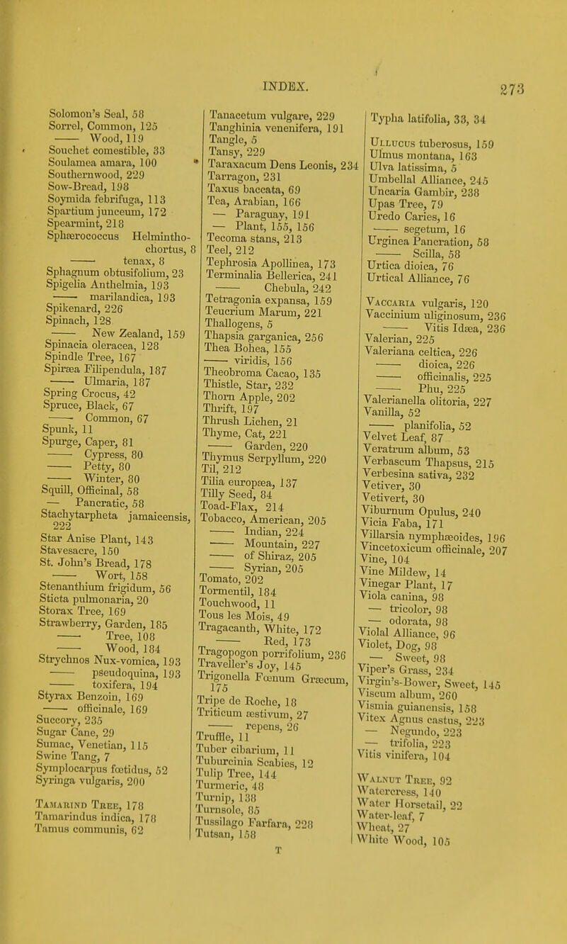 Solomon's Seal, 58 Sorrel, Common, 125 Wood, II!) Souchet comestible, 33 Soulamea amara, 100 ' Southernwood, 229 Sow-Bread, 198 Soymida febrifuga, 113 Spartium junceum, 172 Spearmint, 218 Spbserococcus Helmintho- chortus, 8 • tenax, 8 Sphagnum obtusifolium, 23 Spigelia Anthelmia, 193 marilandica, 193 Spikenard, 226 Spinach, 128 — New Zealand, 159 Spinacia oleracea, 128 Spindle Tree, 167 Spirsea Filipendula, 187 Ulmaria, 187 Spring Crocus, 42 Spruce, Black, 67 Common, 67 Spvmk, 11 Spm-ge, Caper, 81 Cypress, 80 Petty, 80 Winter, 80 Squill, Officinal, 58 — Pancratic, 58 Stachytarpheta jamaicensis, 222 ' Star Anise Plant, 143 Stavesacre, 150 St. John's Bread, 178 Wort, 158 Stenantliium frigidum, 56 Sticta pulmonaria, 20 Storax Tree, 169 Strawberry, Garden, 185 • Tree, 108 Wood, 184 Strychnos Nux-vomica, 193 pseudoquina, 193 toxifera, 194 Styrax Benzoin, 169 officinale, 169 Succory, 235 Sugar Cane, 29 Sumac, Venetian, 115 Swine Tang, 7 Symplocarpus fcetidus, 52 Syringa vulgaris, 200 Tamarind Tree, 178 Tamarindus indica, 178 Tamus communis, 62 Tanacetum viilgare, 229 Tanghinia veuenifera, 191 Tangle, 5 Tansy, 229 Taraxacum Dens Leonis, 234 Tarragon, 231 Taxus baccata, 69 Tea, Arabian, 166 — Paraguay, 191 — Plant, 155, 156 Tecoma stans, 213 Teel, 212 Teplu-osia Apollinea, 173 Terminaha Bellerica, 241 Chebula, 242 Tetragonia expansa, 159 Teucrium Marum, 221 Thallogens, 5 Thapsia garganica, 256 Thea Bohea, 155 viridis, 156 Theobroma Cacao, 135 Thistle, Star, 232 Thorn Apple, 202 Thi-ift, 197 Thrush Lichen, 21 Thyme, Cat, 221 Garden, 220 Thymus Serpyllum, 220 Til, 212 Tilia europsea, 137 TiUy Seed, 84 Toad-Flax, 214 Tobacco, American, 205 ■ Indian, 224 ■ Mountain, 227 • of Shiraz, 205 ■ Syi'ian, 205 Tomato, 202 Tormentil, 184 Touchwood, 11 Tons les Mois, 49 Tragacanth, White, 172 Red, 173 Iragopogon pon-ifolium, 236 Traveller's Joy, 145 Trigonella Foenum GrKcum, 175 Tripe de Roche, 18 Triticum ccstiTOm, 27 repens, 26 Truffle, 11 Tuber cibarium, 11 Tuburcinia Scabies, 12 Tulip Tree, 144 Tumieric, 48 Tm-nip, 138 Turnsole, 85 Tussilago Fnrfara, 228 Tutsan, 158 T Typha latifoUa, 33, 34 Ullucus tuberosus, 159 Ulmus montana, 163 Ulva latissima, 5 Umbellal Alliance, 245 Uncaria Gambii-, 238 Upas Tree, 79 TJredo Caries, 16 ■ segetum, 16 Urginea Pancration, 58 Scilla, 58 Urtica dioica, 76 Urtlcal Alliance, 76 Vaccaria vulgaris, 120 Vaccinium uligiuosum, 236 Vitis Idaea, 236 Valerian, 225 Valeriana celtica, 226 dioica, 226 officinalis, 225 Phu, 225 Valerianella olitoria, 227 Vanilla, 52 planifolia, 52 Velvet Leaf, 87 Veratrum album, 53 Verbascum Thapsus, 215 Verbesina sativa, 232 Vetiver, 30 Vetivert, 30 Viburnum Opulus, 240 Vicia Faba, 171 Villarsia nymphseoides, 196 Vincetoxicum officinale, 207 Vine, 104 Vine Mildew, 14 Vinegar Plant, 17 Viola canina, 98 — ti-icolor, 98 — odorata, 98 Violal Alliance, 96 Violet, Dog, 98 — Sweet, 98 Viper's Grass, 234 Virgin's-Bower, Sweet, 145 Viscum album, 260 Vismia guiauensis, 158 Vitex Agnus castus, 223 — Negundo, 223 — trifolia, 223 Vitis vinifera, 104 Walnut Tree, 92 Watercress, 140 Wiitor Horsetail, 22 Water-leaf, 7 Wheat, 27 White Wood, 105