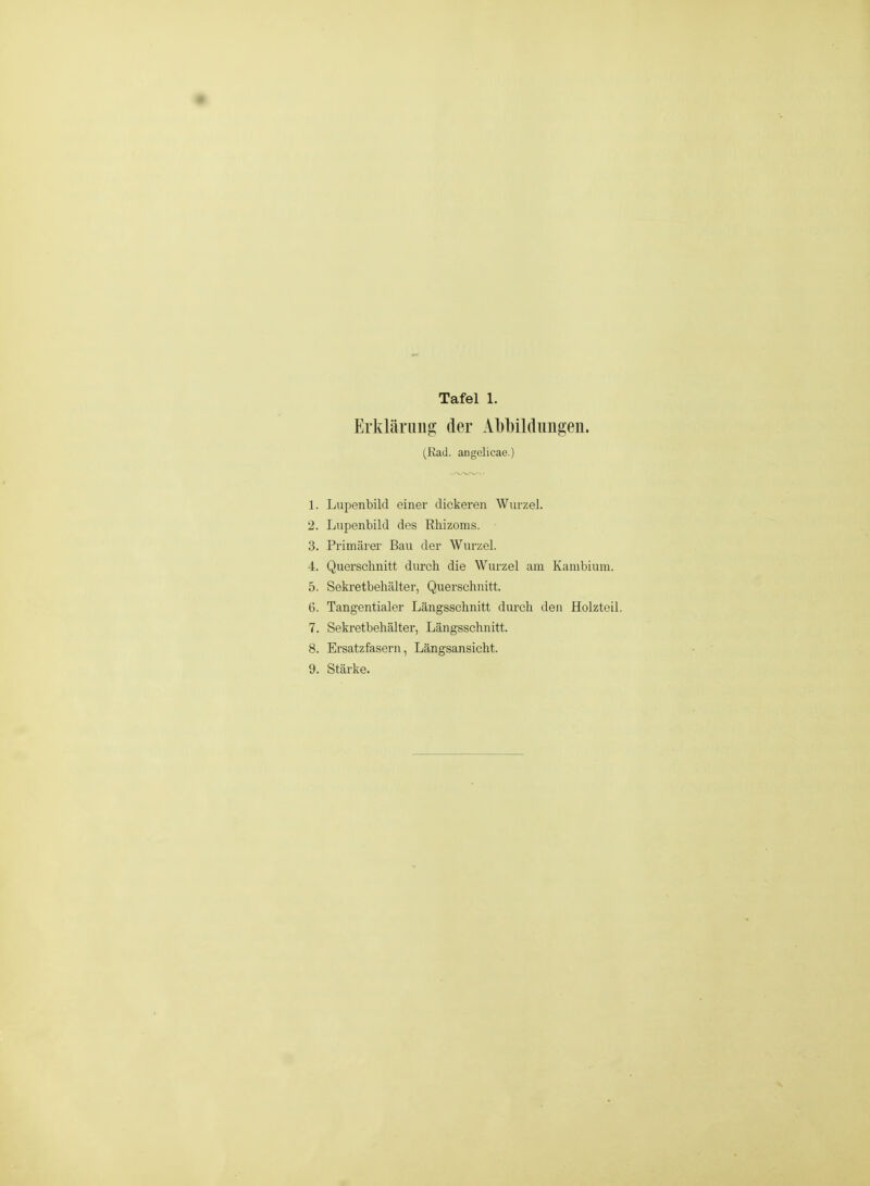 Erklärung der Al)l)ildimgen. (Kad. angelicae.) 1. Lupenbild einer dickeren Wurzel. 2. Lupenbild des Rhizoms. 3. Primärer Bau der Wurzel. 4. Querschnitt durch die Wurzel am Kambium. 5. Sekretbehälter, Querschnitt. 6. Tangentialer Längsschnitt durch den Holzteil. 7. Sekretbehälter, Längsschnitt. 8. Ersatzfasern, Längsansicht. 9. Stärke.