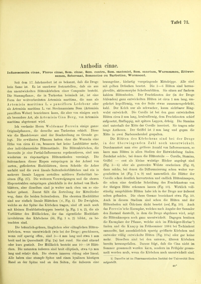 Anthodia cinae. Infloreseentia cinae, Plores cinae, Sem. cinae, Sem. contra, Sem. santonici, Sem. sanctum, Wurmsamen, Zittwer- samen, Sebersaat, Semencine ou Barbotine, Wormseed. Seit dem 17. Jahrlmndert ist es bekannt, dafs die Droge kein Same ist. Es ist unscliwer festzustellen, dafs sie aus den unentwickelten Blütenkörbellen einer Composite besteht. Die Stammpflanze, die in Turkestan heimisch ist, ist eine Form der weitverbreiteten Artemisia maritima, die man als Artemisia maritima L. a pauciflora Ledebour oder als Artemisia maritima L. var. Stechmanniana Bess. (Artemisia pauciflora Weber) bezeichnen kann, die aber von einigen auch als besondere Art, als Artemisia Cina Berg, von Artemisia maritima abgetrennt wird. Ich verdanke Herrn Woldemar Ferrein einige ganze Originalpflanzen, die derselbe aus Turkestan erhielt. Diese wie die Handelsware sind der Beschreibung zu Grunde ge- legt. Die erwähnten Pflanzen hatten ohne die Wui-zeln eine Höhe von circa 45 cm, besassen fast keine Laubblätter mehr, aber individuenreiche Blütenstände. Die Blütenkörbchen, die ihrerseits je eine Partial-Inflorescenz repräsentieren, sind nun wiederum zu rispenartigen Blütenständen vereinigt. Die Seitenachsen dieser Eispen entspringen in der Achsel von zarten, gefiederten Hochblättern, deren Scheide die Achse umfafst und die zwei Lineale Seitenfiederblättchen und ein in mehrere lineale Lappen zerteiltes mittleres Fiederblatt be- sitzen (Fig. 27). Die weiteren Verzweigungen und die oberen Eispenstrahlen entspringen gleichfalls in der Achsel von Hoch- blättern, aber dieselben sind je weiter nach oben um so ein- facher gebaut. Zuerst fällt die Zerteilung der Mittelfleder weg, dann die beiden Seitenfiedern. Die obersten Hochblätter sind nur einfach lineale Blättchen (x, Fig. 1). Die Zweiglein, welche an der Spitze das Körbchen tragen, sind oft auch noch mit kleinen Hochblattschuppen besetzt (y, Fig. 1 u. 2), die als Vorblätter des Hüllkelches, der das eigentliche Hochblatt- involukrum des Körbchens {hb, Fig. 1 u. 2) bildet, zu be- trachten sind. Die bräunlich-grünen, länglichen oder eilänglichen Blüten- körbchen, wenn unentwickelt (wie bei der Droge) geschlossen, wenn reif sparrig oifen, sind 3—4 mm lang und etwa 1 mm breit und im Querschnitt (Fig. 2 a) fast rund. Sie sind sitzend oder kurz gestielt. Der Hüllkelch besteht aus 10 —18 Blätt- chen. Die untersten äufseren sind breit elliptisch, etwa 0,5 mm lang und relativ dick. Die oberen inneren oblong oder lineal. Alle haben eine stumpfe Spitze und einen hyalinen häutigen Eand an der Spitze und an den Seiten, die äufseren eine braungrüne, kielartig vorspringende Mittelrippe. Alle sind mit gelben Drüschen besetzt. Die 3—G Blüten sind herma- phrodite, aktinomorphe Scheibenblüten. Sie sitzen auf flachem kahlem Blütenboden. Der Fruchtknoten der (in der Droge fehlenden) ganz entwickelten Blüten ist circa 1 mm lang, um- gekehrt kegelförmig, von der Seite etwas zusammengedrückt, kahl. Der Kelch nur als schwacher, kaum sichtbarer Eing- wulst entwickelt. Die CoroUe ist bei den ganz entwickelten Blüten circa 2 mm lang, keulenförmig, dem Fruchtknoten schief aufgesetzt, fünflappig, mit spitzen Lappen, drüsig. Die Stamina sind unterhalb der Mitte der Corolle inseriert. Sie tragen sehr lange Antheren. Der Grifl'el ist 2 mm lang und gegen die Mitte in zwei Narbenschenkel gespalten. Die Blüten des Körbchens sind bei der Droge in der überwiegenden Zahl noch unentwickelt. Durchmustert man eine gröfsere Anzahl von Inflorescenzen, so kann man Blüten in allen Stadien der Entwickelung finden. Zunächst solche, bei denen die Blütenteile — CoroUe, Stamina, Griffel — erst als kleine wulstige Höcker angelegt sind (Fig. 3—6) oder als gestreckte Wülste erscheinen (Fig. 8), dann solche, bei denen die Differenzierung schon weiter vor- geschritten ist (Fig. 7 u. 9) und namentlich die Blätter der Corolle schon deutlich hervortreten und endlich Blütenknospen, die schon eine deutliche Scheidung des Fruchtknotens von der übrigen Blüte erkennen lassen (Fig. 10). Wirklich voll- ständig ausgebildete Blüten habe ich in der Droge nur äufserst selten gefunden. Die obere Grenze bezeichnet etwa Fig. 10. Auch in diesem Stadium sind schon die Blüten und der Blütenboden mit Oldrüsen dicht besetzt {oed, Fig. 10). Auch das Ferr ein 'sehe Exemplar, welches nach Angabe der Sammler den Zustand darstellt, in dem die Droge abgelesen wird, zeigt die Blütenknospen noch ganz unentwickelt. Dagegen besitzen die Exemplare der Pflanze, welche sich im Flückiger-Herbar ^) finden und die Knapp im Frühsommer 1884 bei Tschimkent sammelte, fast ausschliefslich sparrig geöffnete Körbchen und entweder völlig entwickelte Blüten (Fig. 10 a) oder gar keine mehr. Dieselben sind bei den unteren, älteren Körbchen bereits herausgefallen. Daraus folgt, dafs die Cina nicht im Sommer gesammelt werden kann, sondern im Frühjahr gesam- melt werden mufs, wenn die Köi'bchen noch unentwickelt sind. 1) Dasselbe ist im Pharmazeutischen Institut der Universität Bern aufgestellt. 40*