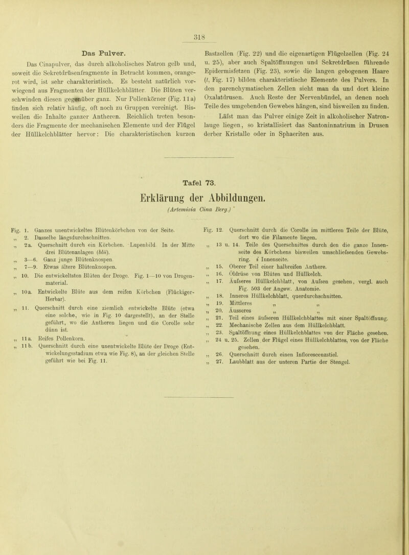 Das Pulver. Das Cinapulver, das durch alkoholisches Natron gelb und, soweit die Sekretdrüsenfragmente in Betracht kommen, orange- rot wird, ist sehr charakteristisch. Es besteht natürlich vor- wiegend aus Fragmenten der HüUkelchblätter. Die Blüten ver- schwinden diesen gegenüber ganz. Nur Pollenkörner (Fig. IIa) finden sich relativ häufig, oft noch zu Gruppen vereinigt. Bis- weilen die Inhalte ganzer Antheren. Reichlich treten beson- ders die Fragmente der mechanischen Elemente und der Flügel der Hüllkelchblätter hervor: Die charakteristischen kurzen Bastzellen (Fig. 22) und die eigenartigen Flügelzellen (Fig. 24 u. 25), aber auch Spaltöffnungen und Sekretdrüsen führende Epidermisfetzen (Fig. 23), sowie die langen gebogenen Haare {t, Fig. 17) bilden charakteristische Elemente des Pulvers. In den parenchymatischen Zellen sieht man da und dort kleine Oxalatdrusen. Auch Reste der Nervenbündel, an denen noch Teile des umgebenden Gewebes hängen, sind bisweilen zu finden. Lärst man das Pulver einige Zeit in alkoholischer Natron- lauge liegen, so kristallisiert das Santoninnatrium in Drusen derber Kristalle oder in Sphaeriten aus. Tafel 73. Erklärung der Abbildungen. (Artemisia Cina Berg.) Fig. 1. Ganzes unentwickeltes Blüteukörbchcn von der Seite. „ 2. Dasselbe längsdurchschnitten. „ 2 a. Querschnitt durch ein Körbchen. Lupenbild. In der Mitte drei Blütenanlagen (blü). „ 3—6. Ganz junge Blütenknospen. „ 7—9. Etwas ältere Blütenknospen. „ 10. Die entwickeltsten Blüten der Droge. Fig. 1—10 von Drogen- material. „ 10 a. Entwickelte Blüte aus dem reifen Körbchen (Flückiger- Herbar). „ 11. Querschnitt durch eine ziemlich entwickelte Blüte (etwa eine solche, wie in Fig. 10 dargestellt), an der Stelle geführt, wo die Antheren hegen und die Corolle sehr dünn ist. „ Ha. Beifes Pollenkorn. „ IIb. Querschnitt durch eine unentwickelte Blüte der Droge (Ent- wickelungsstadium etwa wie Fig. 8), an der gleichen Stelle geführt wie bei Fig. 11. Fig. 12. Querschnitt durch die Corolle im mittleren Teile der Blüte, dort wo die Filamente liegen. „ 13 u. 14. Teile des Querschnittes durch den die ganze Innen- seite des Körbchens bisweilen umschliefsenden Gewebs- ring. i Innenseite. „ 15. Oberer Teil einer halbreifen xVnthere. „ 16. Öldrüse von Blüten und Hüllkelch. „ 17. Aufseres Hüllkelchblatt, von Aufsen gesehen, vergl. auch Fig. 503 der Ängew. Anatomie. „ 18. Inneres Hüllkelchblatt, querdurohschnitten. „ 19. Mittleres „ „ „ 20. Äusseres „ „ „ 21. Teil eines äufseren Hüllkelchblattes mit einer Spaltöffnung. „ 22. Mechanische Zellen aus dem Hüllkelchblatt. „ 23. Spaltöffnung eines Hüllkelchblattes von der Fläche gesehen. „ 24 u. 25. Zellen der Flügel eines Hüllkelchblattes, von der Fläche gesehen. „ 26. Querschnitt dui'ch einen Inflorescenzstiel. „ 27. Laubblatt aus der unteren Partie der Stengel.