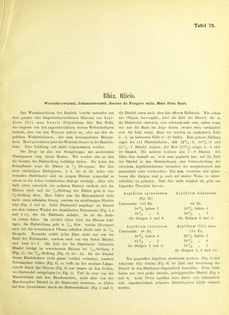 Rhiz. filicis. Wurmfarn Wurzel, Johanniswurzel, ßacine de Fougere male, Male Fern Root. Das Wurmfarnrhizom des Handels besteht entweder aus dem ganzen oder längsdurclisclinittenen Ehizonie von Aspi- dium filix mas Swartz (Polystichum filix Mas Roth), das ringsum von den angeschwollenen derben Wedelstielbasen bedeckt, aber von den Wurzeln befreit ist, oder aus den ab- gelösten Wedelstielbasen, oder dem herausgelösten Rhizom- kern. Meist prävalieren jetzt die Wedelstielbasen in der Handels- ware. Eine Schälung soll nicht vorgenommen werden. Die Droge ist also ein Stengelorgan mit ansitzenden Blattorganen resp. deren Resten. Wir werden also an ihm die Gesetze der Blattstellung bethätigt finden. Die Achse der Keimpflanze zeigt die Blätter in Ys Divergenz. Die hier noch einzähligen Blattspuren, d. h. die in die Achse ein- tretenden Blattbündel sind im jungen Rhizom sympodial zu einem in der Achse verlaufenden Straige vereinigt. Aber sehr bald (etwa unterhalb des sechsten Blattes) verdickt sich das Rhizom stark und die Yg-Steilung der Blätter geht in eine ^g-Stellung über. Hier bilden nun die Rhizombündel nicht mehr einen achsialen Strang, sondern ein netzförmiges Bündel- rohr (Fig. 3 und 4). Jeder Blattwedel empfängt ein Bündel aus dem unteren Winkel der rhombischen Netzmasche (Fig. 3, 2 und 4x), der die Blattbasis aufsitzt. So ist die Sache im ersten Jahre. Im zweiten Jahre wird das Rhizom kräf- tiger, die Blattstellung geht in Yis über, welche Divergenz auch bei der erwachsenen Pflanze erhalten bleibt oder in Y21 übergeht. Nunmehr erhält jedes Blatt nicht nur von der Basis der Netzmasche, sondern auch von den Seiten Bündel, und zwar 5—7. Die Zahl der das Bündelrolir bildenden Bündel beträgt im erwachsenen Rhizom bei Yis-Stellung 8 (Fig. 5), bei ^i-Stellung (Fig. 6) 10—12. Da die Bündel dieses Bündelrohres nicht gerau vertikal verlaufen, sondern Netzmaschen büden (Fig. 4), so trifft sie der mediane Längs- schnitt durch das Rhizom (Fig. 1) nur immer an den Stellen, wo Blattwedel entspringen (X, Fig. 1). Und da zwar von der Maschenbasis und den Maschenseiten, nicht aber von der Maschenspitze Bündel in die Blattwedel eintreten, so bilden auf dem Querschnitte durch die Blattwedelbasis (Fig. 2 und 7) die Bündel einen nach oben liin offenen Halbkreis. Wie schon aus Obigem hervorgeht, wird die Zahl der Bündel, die in die Blattwedel eintreten, eine schwankende sein, selbst wenn wir nur die Basis ins Auge fassen (weiter oben vermindert sich die Zahl stets); denn wir werden im einfachsten Falle 5—7, im äufsersten Falle 8—10 finden. Eine genaue Zählung ergab bei III Blattstielbasen, dafs 22^0 : 9, 300/0:8 und 31% ■•7 Bündel zeigten, der Rest (17%) ^-eigte 5 — 6 oder 10 Bündel. Die meisten besitzen also 7 — 9 Bündel. Ich führe dies deshalb an, weil man geglaubt hat, auf die Zahl der Bündel in den Blattstielbasen eine Unterscheidung der einzelnen Aspidiurarlüzome, besonders der morj)hologisch und anatomisch nahe verwandten: filix mas, cristatum und spinu- losum (die übrigen sind ja auch auf andere Weise zu unter- scheiden) zu gründen. Dafs dies nicht möglich ist, geht aus folgender Übersicht hervor: Aspidium spinulosum (Flg. 12.) Untersucht: 197 Ex. 58 7o liatten 7 31% „ 6 die übrigen 5 und 8. Aspidium cristatum Untersucht: 48 Ex. 48 7o hatten 6 447o . 5 die übrigen 7 und 8. Aspidium dilatatum 86 Ex. 34 7o hatten 8 58 7o 7 die übrigen 6 und 9. Aspidium filix mas III Ex. 22 7o hatten 9 30% „ 8 .. 31% . 7 die übrigen 5, 6 und 10. Nur gegenüber Aspidium montanum Aschers. (Fig. 9) und Athyrium filix femina (Fig. 8) ist Zahl und Anordnung der Bündel in den Blattbasen diagnostisch brauchbar. Denn beide haben nur zwei grofse laterale, schräggestellte Bündel (Fig. 8 und 9). Auch Pteris aquilina kann durch sein bekanntlich sehr charakteristisch gebautes Bündelsystem leicht erkannt werden.