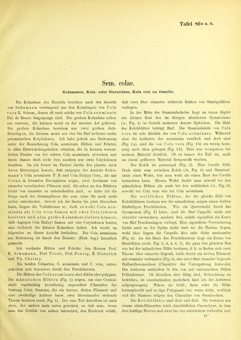 Tafel 80 a u.b. Sem. colae. Kolasamen, Kola- oder Gurunüsse, Kola vrai ou femelle. Die Kolanüsse des Handels bestehen nach der Ansicht von Schumann vorwiegend aus den Keimlingen von Cola vera K. Schum., denen oft auch solche von Cola acuminata Pal. de Beauv. beigemengt sind. Die grofsen Kolanüsse sollen zur ersteren, die kleinen meist zu der zweiten Art gehören. Die grofsen Kolanüsse bestehen aus zwei grofsen dick- fleischigen, die kleinen meist aus vier bis fünf (seltener sechs prismatischen Kotyledonen. Ich habe jedoch aus Buitenzorg unter der Bezeichnung Cola acuminata Blüten und Früchte in allen Entwickelungstadien erhalten, die in keinem wesent- lichen Punkte von der echten Cola acuminata abwichen und deren tarnen doch nicht vier, sondern nur zwei Cotyledonen besafsen. Da ich ferner im Pariser Jardin des plantes mich davon überzeugen konnte, dafs entgegen der Ansicht Schu- mann's Cola acuminata P. B. und Cola Ballayi Corn., die mir Cornu in lebenden Exemplaren zeigte, zwei bestimmt von einander verschiedene Pflanzen sind, die schon an den Blättern leicht von einander zu unterscheiden sind, so halte ich die Frage nach der Starampflanze der sem. colae für noch nicht sicher entschieden. Soweit ich die Sache bis jetzt übersehen kann, liegen die Verhältnisse so, dafs sowohl Cola acu- minata als Cola Vera Samen mit zwei Cotyledonen besitzen und also grofs e Kolanüsse liefern können, dafs dagegen Cola Ballayi Samen mit vier Cotyledonen besitzt, also vielleicht die kleinen Kolanüsse liefert. Ich werde im folgenden an dieser Ansicht festhalten. Die Cola acuminata aus Buitenzorg ist durch den Beisatz: (Hort, bog.) kenntlich gemacht. Ich verdanke Blüten und Früchte den Herren Prof. K. Schumann, Prof. Treub, Prof. Penzig, K. Dieterich und Th. Christy. Die beiden Colaarten, C. acuminata und C. vera, unter- scheiden sich besonders durch den Fruchtknoten. Die Blüten der Cola acuminata sind diklin oder polygam. Die männlichen Blüten (Fig. 1) zeigen, um eine Central- säule regelmäfsig kreisförmig angeordnet (Charakter der Gattung Cola), Stamina, die ein kurzes, dickes Filament und eine zweiteilige Anthere bezw. zwei übereinander stehende Thecae besitzen (anth^ Fig. 1). Der eine Teil derselben ist nach oben, der andere nach unten gerichtet, so dafs man, wenn man das Gebilde von aufsen betrachtet, den Eindruck erhält. dafs zwei über einander stehende Reihen von Staubgefäfsen vorliegen. In der Mitte der Staminalscheibe liegt an deren Gipfel ein kleiner Rest des im übrigen abortierten Gynaeceums (x, Fig. 1) in Gestalt mehrerer kurzer Spitzchen. Die Zahl der Kelchblätter beträgt fünf. Die Staminalsäule von Cola vera ist sehr ähnlich der von Cola acuminata. Während aber die Antheren der acuminata rundlich und derb sind (Fig. la), sind die von Cola vera (Fig. Ib) ein wenig horn- artig nach oben gebogen (Fig. Ib). Dies war wenigstens bei meinem Material deutlich. Ob es immer der Fall ist, mufs an einern gröfseren Material festgestellt werden. Der Kelch ist garaosepal (Fig. 2). Eine CoroUe fehlt. Doch sieht man zwischen Kelch (<Se, Fig. 6) und Staminal- säule einen Wulst, den man wohl als einen Rest der CoroUe betrachten kann. Diesen Wulst findet man sowohl bei den männlichen Blüten als auch bei den weiblichen (X, Fig. 6), sowohl bei Cola vera wie bei Cola acuminata. Die weiblichen Blüten, die die gleiche Zahl von Kelchblättern besitzen wie die männlichen, zeigen einen derben fünfteiligen Fruchtknoten. Wie ein Querschnitt durch das Gynaecevim (Fig. 7) lehrt, sind die fünf Carpelle nicht mit einander verwachsen, sondern frei, sodafs eigentlich ein Kranz von fünf Fruchtanlagen vorliegt. Eine eigentliche Verwachsung findet auch an der Spitze nicht statt wo die Narben liegen, wohl aber liegen die Carpelle hier sehr dicht aneinander (Fig. 6). An der Basis des Fruchtknotens liegt ein Kranz von Staubfäden {anth^ Fig. 2, 3, 4, 6, 7), die ganz den gleichen Bau Avie bei der männlichen Blüte besitzen, d. h. es finden sich zwei Thecae über einander liegend, beide durch ein derbes Filament mit einander verbunden (Fig. 6), also zwei über einander liegende Halbantherenreihen (Charakter der Untergattung Autocola). Die Antheren enthielten in den von mir untersuchten Fällen PoUenkörner. Ob dieselben aber fähig sind, Befruchtung zu bewirken, ist unentschieden (mehrfach fand ich die Antheren aufgesprungen). Wären sie fertil, dann wäre die Blüte hermaphrodit und es läge Polygamie vor, wenn nicht, weiblich und die Stamina trügen den Cliarakter von Staminodien. Die Kelchblätter sind derb und dick. Sie bestehen aus einem stärkeführenden reich durchlüfteten Parenchym, in dem drei kräftige Nerven und zwei bis vier schwächere verlaufen und 44*