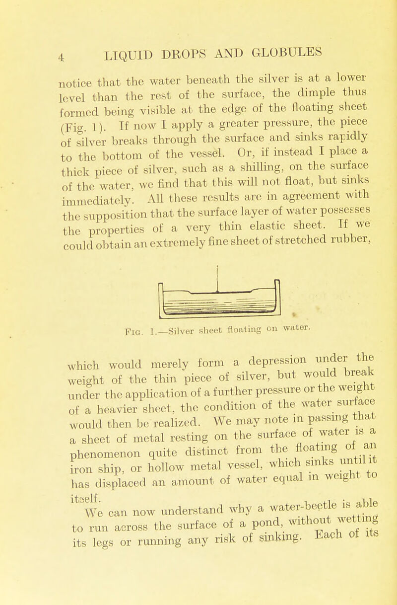 notice that the water beneath the silver is at a lower level than the rest of the surface, the dimple thus formed being visible at the edge of the floating sheet (Fig. 1). If now I apply a greater pressure, the piece of silver breaks tlirough the surface and sinks rapidly to the bottom of the vessel. Or, if instead I place a thick piece of silver, such as a shilling, on the surface of the^water, we find that this will not float, but sinks immediately. All these results are in agreement with the supposition that the surface layer of water possesses the properties of a very thin elastic sheet. If we could obtain an extremely fine sheet of stretched rubber, Fig. 1.—Silver sheet floating on water. which would merely form a depression iinder the weight of the thin piece of silver, but wotdd break under the application of a further pressure or the weight of a heavier sheet, the condition of the water surface would then be realized. We may note in passmg that a sheet of metal resting on the sin-face of water is a phenomenon quite distinct from the floating of an iron ship, or hollow metal vessel, which sinks until it has displaced an amount of water equal m weight to We can now understand why a water-beetle is able to run across the surface of a pond, without wetting its legs or running any risk of sinking. Each of its