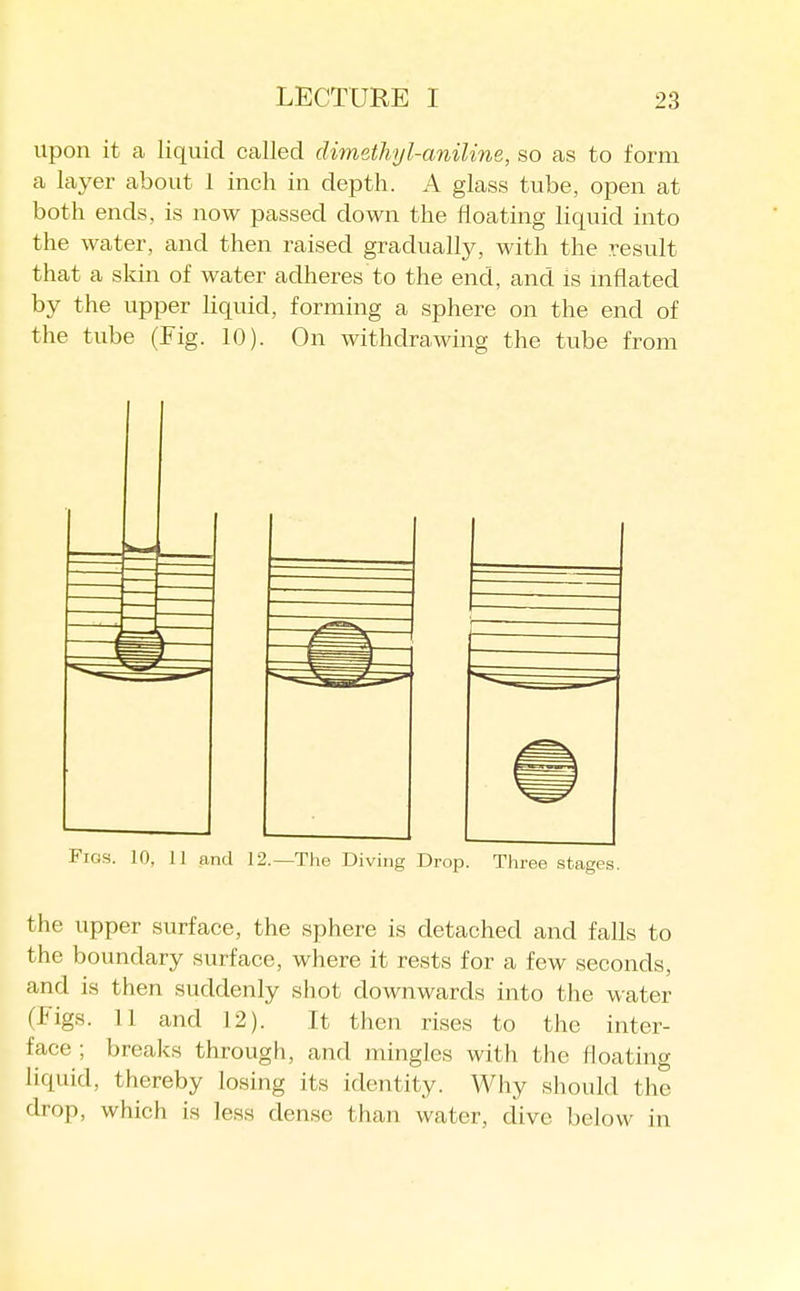 upon it a liquid called dimethyl-aniline, so as to form a layer about 1 inch in depth. A glass tube, open at both ends, is now passed down the floating liquid into the water, and then raised gradually, with the result that a skin of water adheres to the end, and is inflated by the upper liquid, forming a sphere on the end of the tube (Fig. 10). On withdrawing the tube from Figs. 10, II and 12.—The Diving Drop. Three stages. the upper surface, the sphere is detached and falls to the boundary surface, where it rests for a few seconds, and is then suddenly shot downwards into the water (figs. 11 and 12). It then rises to the inter- face ; breaks through, and mingles with the floating liquid, thereby losing its identity. Why should the drop, which is less dense than water, dive below in