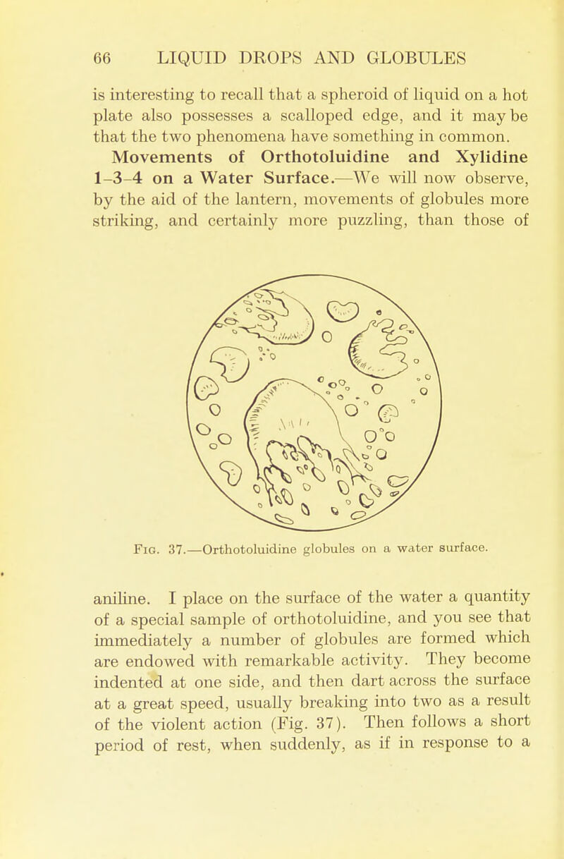 is interesting to recall that a spheroid of liquid on a hot plate also possesses a scalloped edge, and it maybe that the two phenomena have something in common. Movements of Orthotoluidine and Xylidine 1-3-4 on a Water Surface.—We will now observe, by the aid of the lantern, movements of globules more striking, and certainly more puzzling, than those of Fig. 37.—Orthotoluidine globules on a water surface. anihne. I place on the surface of the water a quantity of a special sample of orthotoluidine, and you see that immediately a number of globules are formed which are endowed with remarkable activity. They become indented at one side, and then dart across the siu-face at a great speed, usually breaking into two as a result of the violent action (Fig. 37). Then follows a short period of rest, when suddenly, as if in response to a