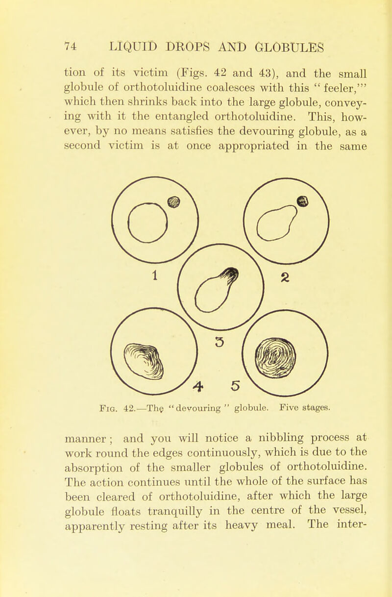 tion of its victim (Figs. 42 and 43), and the small globule of orthotoluidine coalesces with this  feeler,' which then shrinks back into the large globule, convey- ing with it the entangled orthotoluidine. This, how- ever, by no means satisfies the devouring globule, as a second victim is at once appropriated in the same Fig. 42.—The devouring globule. Five stages. manner; and you will notice a nibbHng process at work round the edges continuously, which is due to the absorption of the smaUer globules of orthotoluidme. The action continues until the whole of the surface has been cleared of orthotoluidine, after which the large globule floats tranquilly in the centre of the vessel, apparently resting after its heavy meal. The inter-