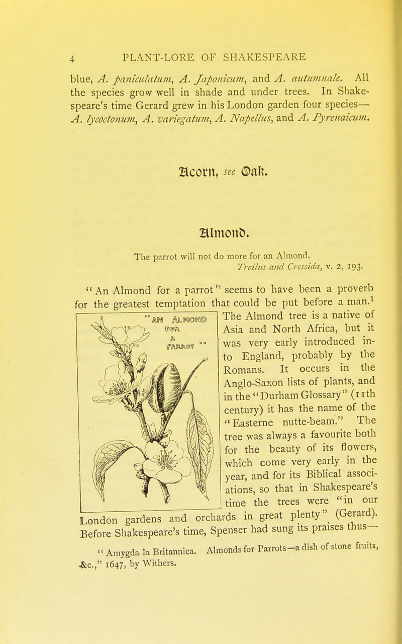 blue, A. paniculaium, A. Japonicum, and A. aiituvinah. All the species grow well in shade and under trees. In Shake- speare's time Gerard grew in his London garden four species— A. lycoctonum, A. variegatum, A. Napellus, and A. Pyrenaicum. Hcorn, see ®al?. Hlmon&. The parrot will not do more for an Almond. Troilns and Cressida, v. 2, 193. An Almond for a parrot seems to have been a proverb for the greatest temptation that could be put before a man.^ The Almond tree is a native of Asia and North Africa, but it was very early introduced in- to England, probably by the Romans. It occurs in the Anglo-Saxon lists of plants, and in the Durham Glossary (nth century) it has the name of the Easterne nutte-beam. The tree was always a favourite both for the beauty of its flowers, which come very early in the year, and for its BibHcal associ- ations, so that in Shakespeare's time the trees were in our i:^on gardenT^i^T^rds in great plenty(Gerard). Before Shakespeare's time, Spenser had sung its praises thus-  Amygda la Britannica. Almonds for Parrots-a dish of stone fruits, ^tc, 1647, by Withers.