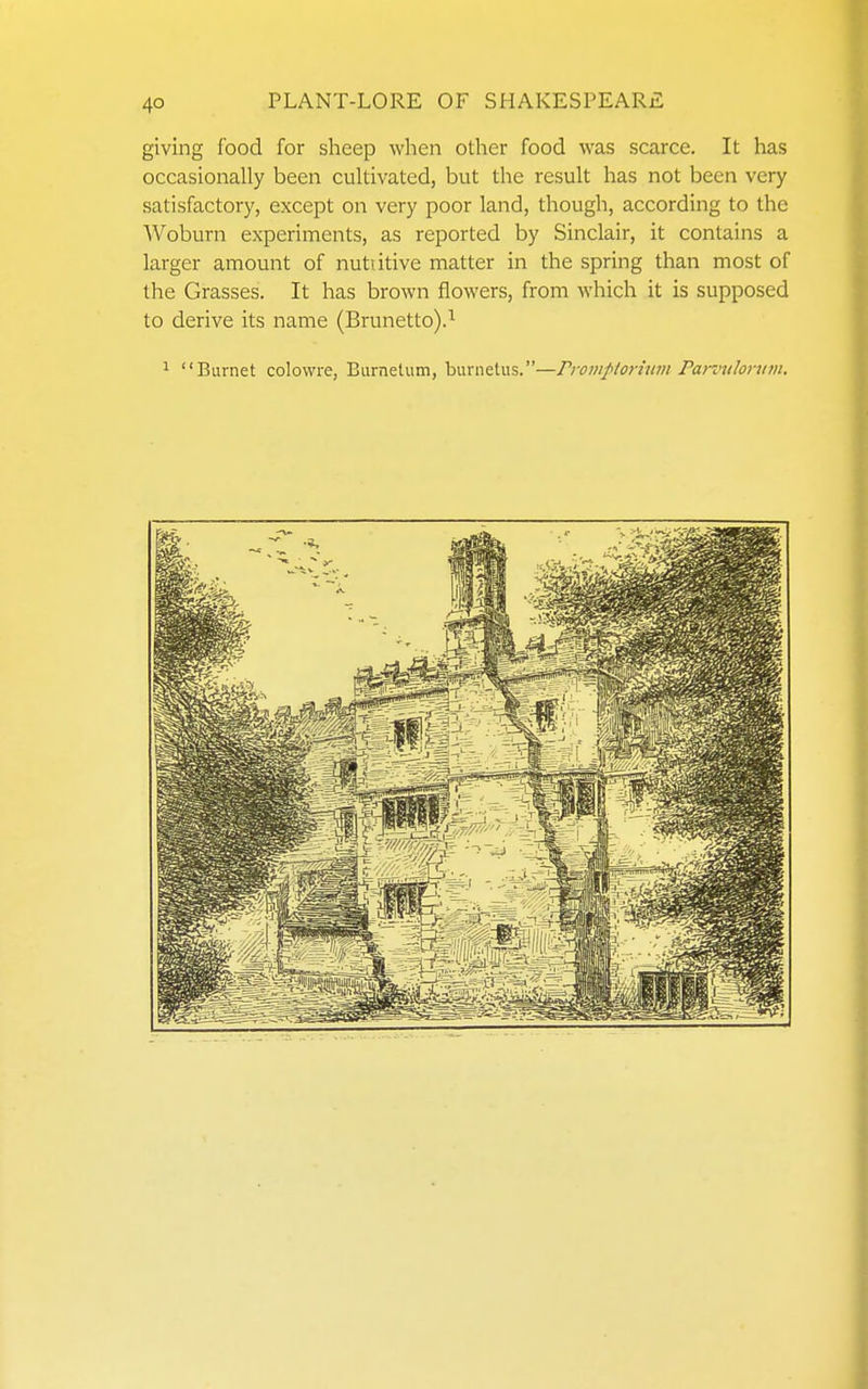 giving food for sheep when other food was scarce. It has occasionally been cultivated, but the result has not been very satisfactory, except on very poor land, though, according to the Woburn experiments, as reported by Sinclair, it contains a larger amount of nutiitive matter in the spring than most of the Grasses. It has brown flowers, from which it is supposed to derive its name (Brunetto).^ 1 Burnet colowre, Burnetum, burnetus.—rrompiorhwi Parvtilonint.