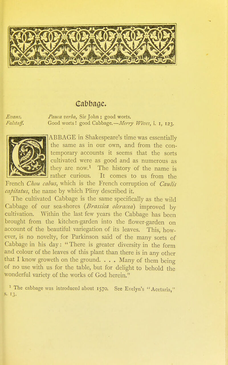 Evans, Pattca verba, Sir John ; good worts. Fahtaff. Good worts ! good Cabbage.—Merry Wives, i. i, 123. ABBAGE in Shakespeare's time was essentially the same as in our own, and from the con- temporary accounts it seems that the sorts cultivated were as good and as numerous as they are now.^ The history of the name is rather curious. It comes to us from the French Chou cahis, which is the French corruption of Caulis capitatus, the name by which Pliny described it. The cultivated Cabbage is the same specifically as the wild Cabbage of our sea-shores {Brassica olcracea) improved by cultivation. Within the last few years the Cabbage has been brought from the kitchen-garden into the flower-garden on account of the beautiful variegation of its leaves. This, how- ever, is no novelty, for Parkinson said of the many sorts of Cabbage in his day: There is greater diversity in the form and colour of the leaves of this plant than there is in any other that I know groweth on the ground. . . . Many of them being of no use with us for the table, but for delight to behold the wonderful variety of the works of God herein. ^ The cabbage was introduced about 1570. See Evelyn's Acetaria  s. 13.