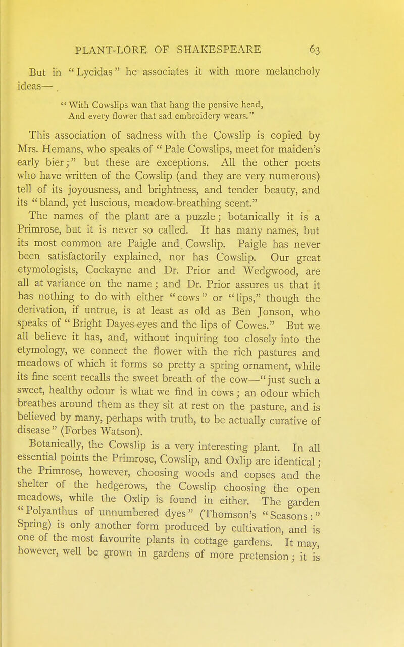 But in Lycidas he associates it with more melancholy ideas— , With Cowslips wan that hang the pensive head, And every flower that sad embroidery wears. This association of sadness with the Cowslip is copied by Mrs. Hemans, who speaks of  Pale Cowslips, meet for maiden's early bier; but these are exceptions. All the other poets who have written of the Cowslip (and they are very numerous) tell of its joyousness, and brightness, and tender beauty, and its  bland, yet luscious, meadow-breathing scent. The names of the plant are a puzzle; botanically it is a Primrose, but it is never so called. It has many names, but its most common are Paigle and Cowslip. Paigle has never been satisfactorily explained, nor has Cowslip. Our great etymologists, Cockayne and Dr. Prior and Wedgwood, are all at variance on the name; and Dr. Prior assures us that it has nothing to do with either cows or lips, though the derivation, if untrue, is at least as old as Ben Jonson, who speaks of Bright Dayes-eyes and the lips of Cowes. But we all believe it has, and, without inquiring too closely into the etymology, we connect the flower with the rich pastures and meadows of which it forms so pretty a spring ornament, while its fine scent recalls the sweet breath of the cow— just such a sweet, healthy odour is what we find in cows; an odour which breathes around them as they sit at rest on the pasture, and is believed by many, perhaps with truth, to be actually curative of disease  (Forbes Watson). Botanically, the Cowslip is a very interesting plant. In all essential points the Primrose, Cowslip, and Oxlip are identical; the Primrose, however, choosing woods and copses and the shelter of the hedgerows, the Cowslip choosing the open meadows, while the Oxlip is found in either. The garden  Polyanthus of unnumbered dyes  (Thomson's  Seasons :  Spring) is only another form produced by cultivation, and is one of the most favourite plants in cottage gardens, 'it may however, well be grown in gardens of more pretension; it is