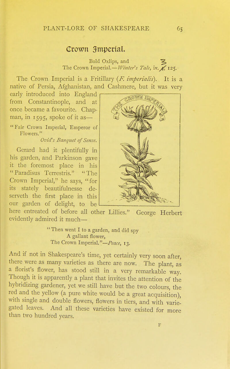 Crown JmperiaU Bold Oxlips, and 2, The Crown Imperial. — Winter's Tale, iv.^125. The Crown Imperial is a Fritillary {K imperialis). It is a native of Persia, Afghanistan, and Cashmere, but it was very early introduced into England from Constantinople, and at once became a favourite. Chap- man, in 1595, spoke of it as—  Fair Crown Imperial, Emperor of Flowers. Ovid's Banquet of Sense. Gerard had it plentifully in his garden, and Parkinson gave it the foremost place in his Paradisus Terrestris. The Crown Imperial, he says, for its stately beautifulnesse de- serveth the first place in this our garden of delight, to be here entreated of before all other Lillies. George Herbert evidently admired it much—  Then went I to a garden, and did spy A gallant flower, The Crown Imperial.—Peace, 13. And if not in Shakespeare's time, yet certainly very soon after, there were as many varieties as there are now. The plant, as a florist's flower, has stood still in a very remarkable way. Though it is apparently a plant that invites the attention of the hybridizing gardener, yet we still have but the two colours, the red and the yellow (a pure white would be a great acquisition), with single and double flowers, flowers in tiers, and with varie- gated leaves. And all these varieties have existed for more than two hundred years. F