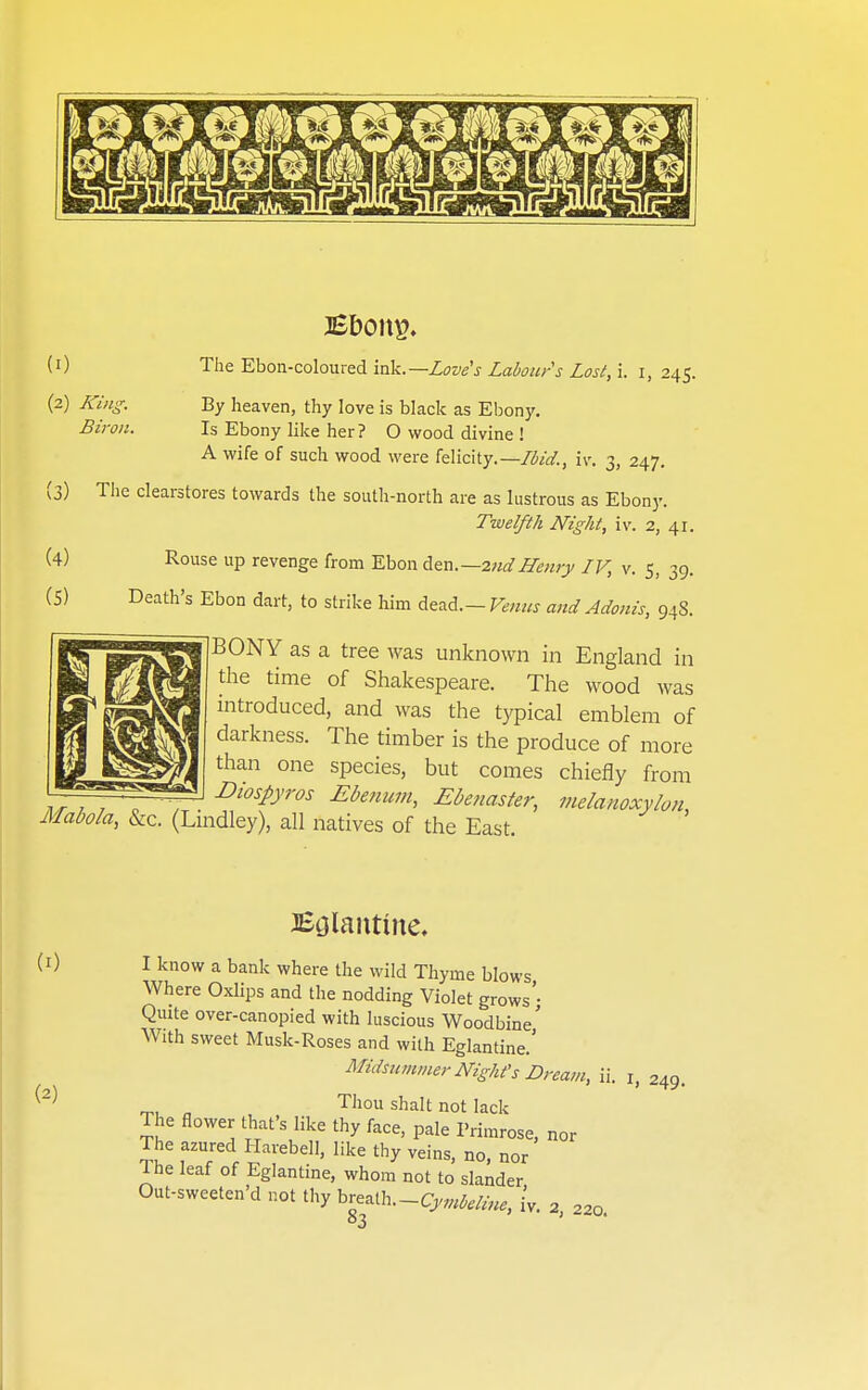 (1) The Ebon-coloured ink.—Love's Labours Lost, i. i, 245. (2) King. By heaven, thy love is black as Ebony. Biron. Is Ebony like her? O wood divine ! A wife of such wood were felicity.—7^/^/., iv. 3, 247. (3) The clearstores towards the south-north are as lustrous as Ebony. Twelfth Night, iv. 2, 41. (4) Rouse up revenge from Ebon dtn.—zndILeiuy IV, v. 5, 39. (5) Death's Ebon dart, to strike him dead.- Venus and Adonis, 948. BONY as a tree was unknown in England in the time of Shakespeare. The wood was introduced, and was the typical emblem of darkness. The timber is the produce of more than one species, but comes chiefly from , , , ■ ^iospyros Ebenum, Ebenaster, vielanoxylon, Mabola, &c. (Lmdley), all natives of the East. 8 (I) Bcjlaiitine. I know a bank where the wild Thyme blows Where Oxlips and the nodding Violet grows'- Quite over-canopied with luscious Woodbine' With sweet Musk-Roses and with Eglantine.' Midsmnmer Night's Dream, ii. i, 249. ^^ Thou Shalt not lack The flower that's like thy face, pale Primrose, nor The azured Harebell, like thy veins, no, nor 1 he leaf of Eglantine, whom not to slander