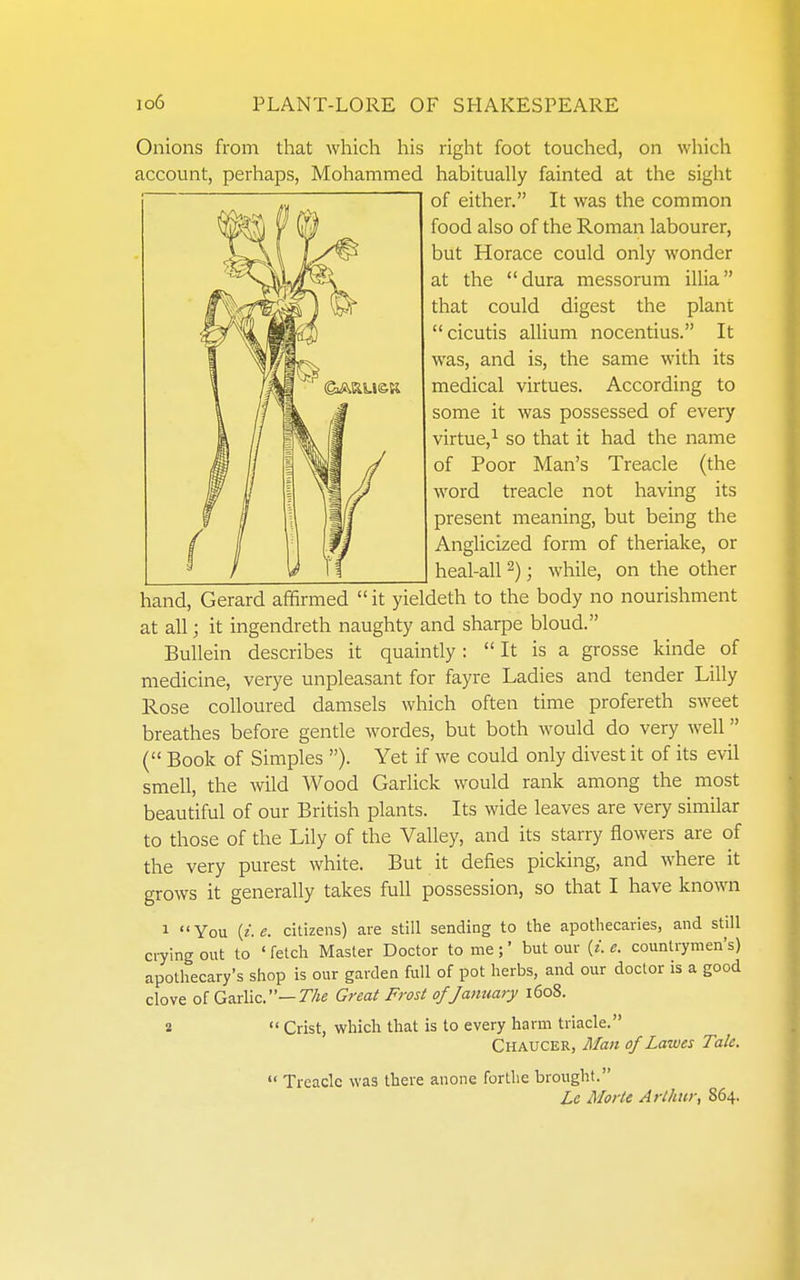 Onions from that which his right foot touched, on which account, perhaps, Mohammed habitually fainted at the sight of either. It was the common food also of the Roman labourer, but Horace could only wonder at the dura messorum illia that could digest the plant cicutis allium nocentius. It was, and is, the same with its medical virtues. According to some it was possessed of every virtue,^ so that it had the name of Poor Man's Treacle (the word treacle not having its present meaning, but being the Anglicized form of theriake, or heal-all 2); while, on the other hand, Gerard affirmed  it yieldeth to the body no nourishment at all; it ingendreth naughty and sharpe bloud. BuUein describes it quaintly: It is a grosse kinde of medicine, verye unpleasant for fayre Ladies and tender Lilly Rose colloured damsels which often time profereth sweet breathes before gentle Avordes, but both would do very well ( Book of Simples ). Yet if we could only divest it of its evil smell, the wild Wood Garlick would rank among the most beautiful of our British plants. Its wide leaves are very similar to those of the Lily of the Valley, and its starry flowers are of the very purest white. But it defies picking, and where it grows it generally takes full possession, so that I have known 1 You {i.e. citizens) are still sending to the apothecaries, and still ciying out to ' fetch Master Doctor to me ;' but our (/. e. countrymen's) apothecary's shop is our garden full of pot herbs, and our doctor is a good clove of Garlic.—77ie Great Frost of January 1608. 2  Crist, which that is to every harm triacle. Chaucer, Man ofLawes Tale,  Treacle was there anone fortbe brought. Le Morte Arthur, 864.