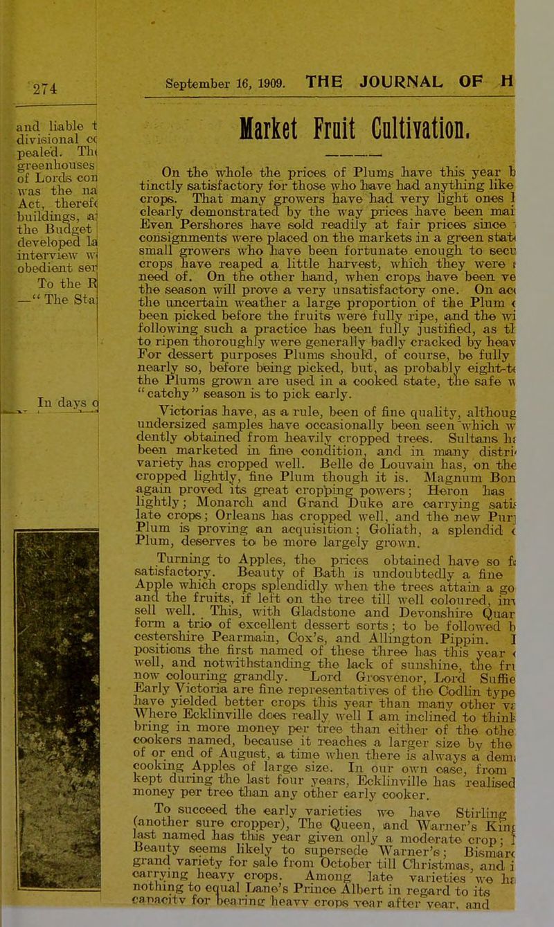 274 September 16, 1909. THE JOURNAL OF H and liable t divisional oc pealed. Tli< greenhouses of Lords con was tlie na Act, th6r6f< buildings, &] the Budget i developed la intei'view w obedient ser To the E - The Sta Market Fralt CnltiYation. Ill days cj On the whole the prices of Plums ihave this year h tinctly satisfactory for those who liave hjad anything like crops. That many growers have had very light ones 1 clearly demonstrated by the way prices have been mai Even Pershores have sold readily at fair prices since consignments were placed on the markets in a green stat* small growers who have been fortunate enough to secu crops have reaped a little harvest, which they were t need of. On the other hand, when crops have been ve the season will prove a very unsatisfactory one. On ac< the uncertain weather a large proportion of the Plum < been picked before the fruits were fully ripe, and the wi following such a practice has been fully justified, as tl to ripen thoroughly were generally badly cracked by heav For dessert purposes Plums slioukl, of course, be fully nearly so, before being picked, but, as probably eight^tc the Plums grown are used in a cooked state, the safe catchy season is to pick early. Victorias have, as a rule, been of fine quality, althoug undersized samples have occasionally been seen which w dently obtained from heavily cropi>ed trees. Sultans hi been marketed in fine condition, and in maaiy distri' variety has cropped well. Belle de Louvain has, on the cropped hghtly, fine Plum though it is. IMagnum Bon again proved its great crop'pin^ powers; Heron has lightly; Monarch and Grand Duke are carrying satu late crops; Orleans has cropped well, and the new Pun Plum is proving an acquisition; Goliath, a splendid < Plum, deserves to be more largely grown. Turning to Apples, the prices obtained have so ft satisfactory. Beauty of Bath is undoubtedly a fine Apple which crops splendidly when the trees attain a go and the fruits, if left on the tree till well coloured, im sell well. This, with Gladstone and Devonshire Quar fonn a trio of excellent dessert sorts; to be followed b cesterehire Pearmain, Cox's, and Allington Pippin. I positions the first named of these three has this year < well, and notwithstanding the lack of sunshine, the fn now colouring grandly. Lord Grosvenor, Lord Suffie Early Victoria are fine representatives of the Codlin type have yielded better crops this year than many other vf Where Ecklinville dees really well I am inclined to thint bring m more money per tree than either of the othe cookers named, because it reaches a larger size by the of or end of August, a time when there is always a demi cookmg Apples of large .size. In our own case, from kept during the last four years, Ecklinville has realised money per tree tlian any other early cooker. To succeed the early varieties we have Stirling (another sure cropper), Tlie Queen, and Warner's Kinj last named has this year given only a moderate crop • I Beauty seems likely to supersede Warner's; Bismart grand variety for sale from October till Cliristmas and i carrying heavy crops. Amono; late varieties we hf nothing to equal Lane's Prince Albert in regard to its capacitv for beanns heavv crops vear after year, and