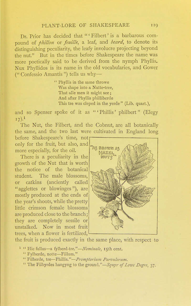 Dr. Prior has decided that ' Filbert' is a barbarous com- pound of phillo7i or feiiille, a leaf, and beard, to denote its distinguishing pecuHarity, the leafy involucre projecting beyond the nut. But in the times before Shakespeare the name was more poetically said to be derived from the nymph Phyllis. Nux Phyllidos is its name in the old vocabularies, and Gower ( Confessio Amantis ) tells us why—  Phyllis in the same throwe Was shape into a Nutte-tree, That alle men it might see; And after Phyllis philliberde This tre was cleped in the yerde  (Lib. quart.), and so Spenser spoke of it as 'Phillis' philbert (Elegy 17).^ The Nut, the Filbert, and the Cobnut, are all botanically the same, and the two last were cultivated in England long before Shakespeare's time, not only for the fruit, but also, and more especially, for the oil. There is a peculiarity in the growth of the Nut that is worth the notice of the botanical student. The male blossoms, or catkins (anciently called  agglettes or blowinges ), are mostly produced at the ends of the year's shoots, while the pretty little crimson female blossoms are produced close to the branch; they are completely sessile or unstalked. Now in most fruit trees, when a flower is fertilized, the fruit is produced exactly in the same place, with respect to ^  Hie fullus—a fylberd-tre.—Nominale, 15th cent.  Fylberde, nolte—Fillum.  Filberde, tre—Phillis.—Promptorhim Farvulorum.  The Filbyrdes liangyng to the ground.—Squyr of Lowe Deg!-e, 37.