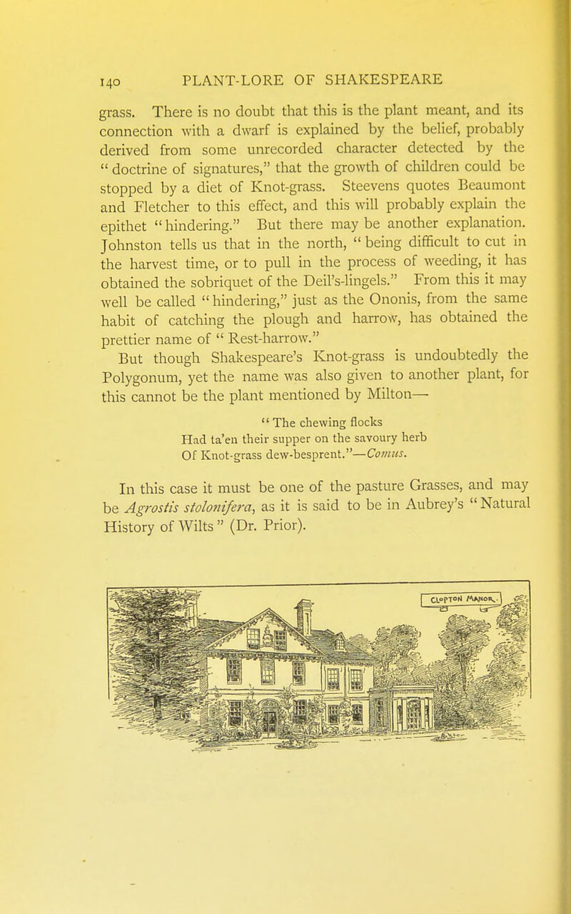 grass. There is no doubt that this is the plant meant, and its connection with a dwarf is explained by the belief, probably derived from some unrecorded character detected by the  doctrine of signatures, that the growth of children could be stopped by a diet of Knot-grass. Steevens quotes Beaumont and Fletcher to this effect, and this will probably explain the epithet  hindering. But there may be another explanation. Johnston tells us that in the north,  being difficult to cut in the harvest time, or to pull in the process of weeding, it has obtained the sobriquet of the Deil's-lingels. From this it may well be called  hindering, just as the Ononis, from the same habit of catching the plough and harrow, has obtained the prettier name of  Rest-harrow. But though Shakespeare's ICnot-grass is undoubtedly the Polygonum, yet the name was also given to another plant, for this cannot be the plant mentioned by Milton—  The chewing flocks Had ta'en their supper on the savoury herb Of Knot-grass dew-besprent.—Co;«;«. In this case it must be one of the pasture Grasses, and may be Agrostis stolonifera, as it is said to be in Aubrey's  Natural History of Wilts  (Dr. Prior).