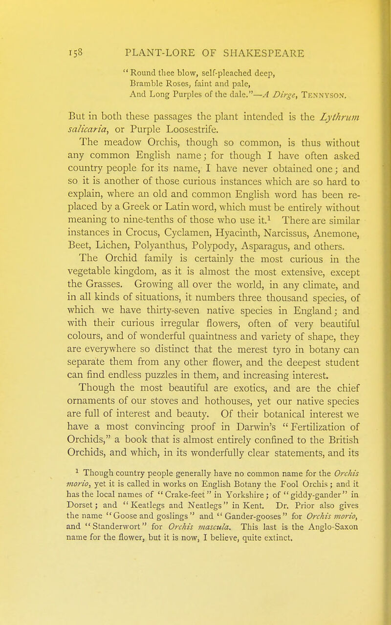 Round tliee blow, self-pleached deep, Bramble Rosos, faint and pale, And Long Purples of the dale.—A Dirge, Tennyson. But in both these passages the plant intended is the Lythriim salicaria, or Purple Loosestrife. The meadow Orchis, though so common, is thus without any common English name; for though I have often asked country people for its name, I have never obtained one; and so it is another of those curious instances which are so hard to explain, where an old and common English word has been re- placed by a Greek or Latin word, which must be entirely without meaning to nine-tenths of those who use it.^ There are similar instances in Crocus, Cyclamen, Hyacinth, Narcissus, Anemone, Beet, Lichen, Polyanthus, Polypody, Asparagus, and others. The Orchid family is certainly the most curious in the vegetable kingdom, as it is almost the most extensive, except the Grasses. Growing all over the world, in any climate, and in all kinds of situations, it numbers three thousand species, of which we have thirty-seven native species in England; and with their curious irregular flowers, often of very beautiful colours, and of wonderful quaintness and variety of shape, they are everywhere so distinct that the merest tyro in botany can separate them from any other flower, and the deepest student can find endless puzzles in them, and increasing interest. Though the most beautiful are exotics, and are the chief ornaments of our stoves and hothouses, yet our native species are full of interest and beauty. Of their botanical interest we have a most convincing proof in Darwin's Fertilization of Orchids, a book that is almost entirely confined to the British Orchids, and which, in its wonderfully clear statements, and its ^ Though country people generally have no common name for the Orchis inorio, yet it is called in works on English Botany the Fool Orchis ; and it has the local names of  Crake-feet in Yorkshire; of  giddy-gander in Dorset; and  Iveatlegs and Neatlegs in Kent. Dr. Prior also gives the name  Goose and goslings  and Gander-gooses for Orchis morio, and  Standerwort for Orchis mascula. This last is the Anglo-Saxon name for the flower, but it is now, I believe, quite extinct.