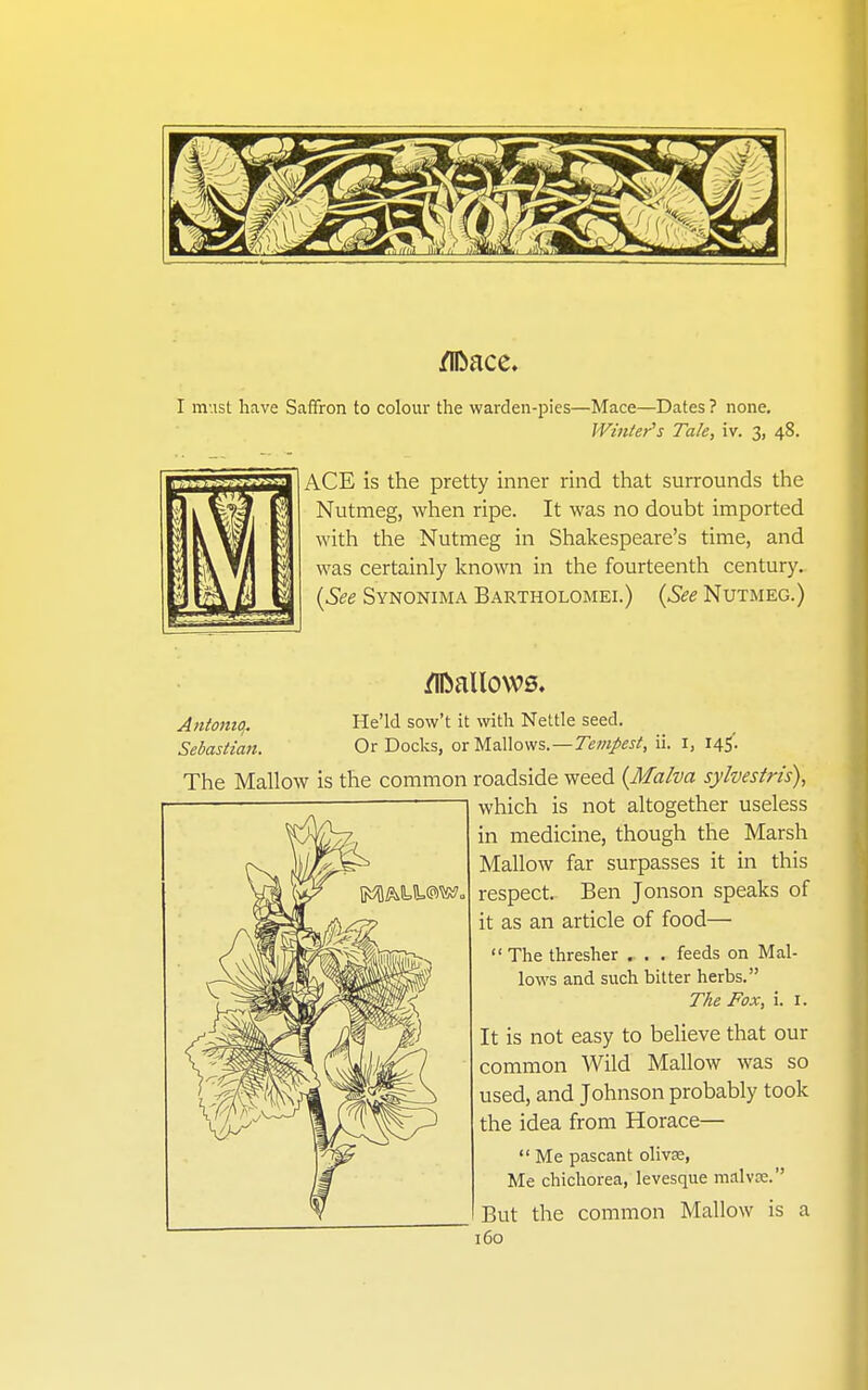 /lDace» I m ist have Saffron to colour the warden-pies—Mace—Dates ? none. Winter's Tale, iv. 3, 48. ACE is the pretty inner rind that surrounds the Nutmeg, when ripe. It was no doubt imported with the Nutmeg in Shakespeare's time, and was certainly known in the fourteenth century. {See Synonima Bartholomei.) {See Nutmeg.) Antoittq. Sebastian. He'ld sow't it with Nettle seed. Or Docks, or Mallows.—Tempest, il. i, 14S'. The Mallow is the common roadside weed {Malva sylvestris), which is not altogether useless in medicine, though the Marsh Mallow far surpasses it in this respect. Ben Jonson speaks of it as an article of food—  The thresher . . . feeds on Mal- lows and such bitter herbs. The Fox, i. i. It is not easy to believe that our common Wild Mallow was so used, and Johnson probably took the idea from Horace—  Me pascant olivse, Me chichorea, levesque malvce. But the common Mallow is a