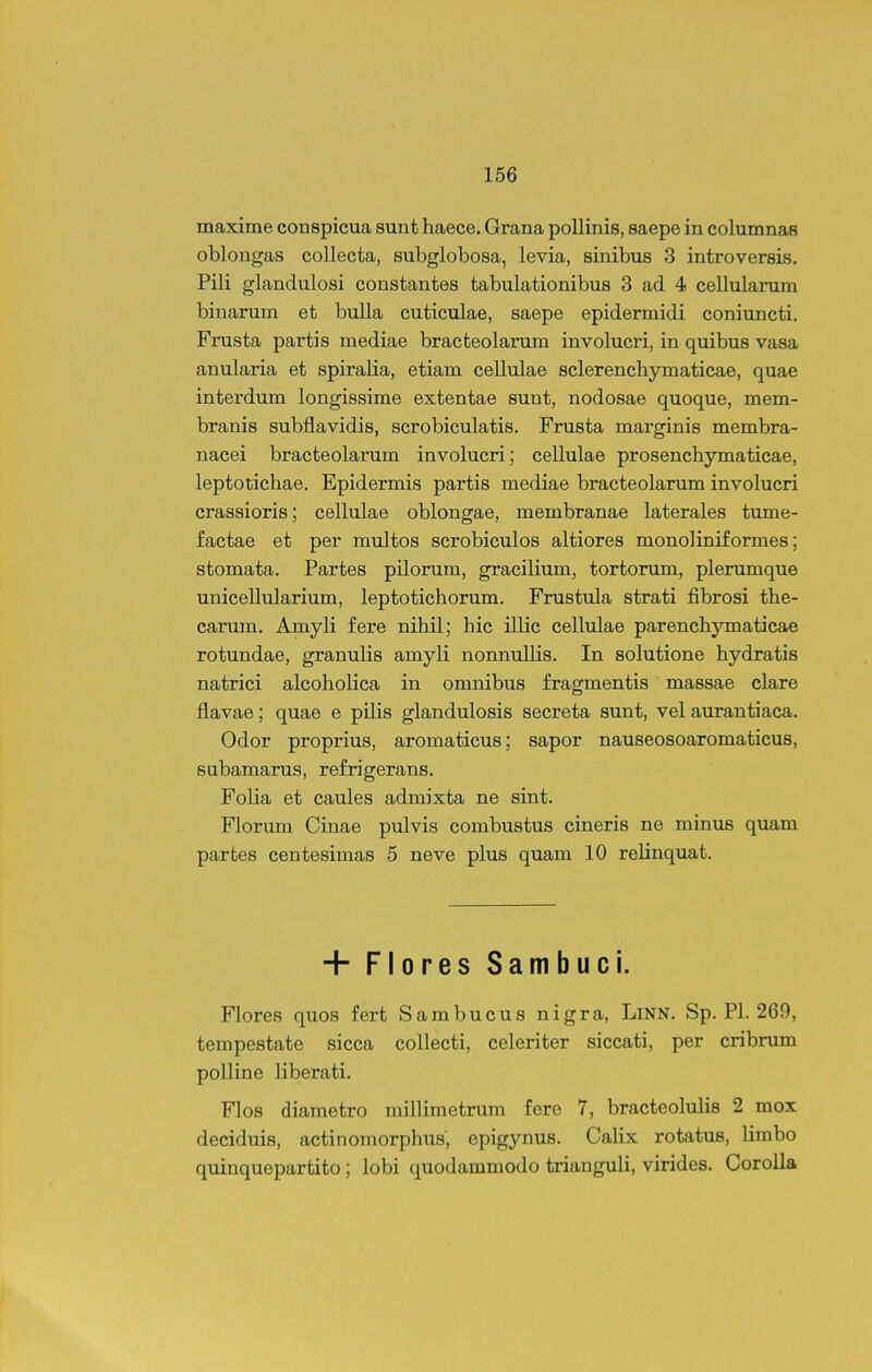 maxime conspicua sunt haece. Grana pollinis, saepe in columnas oblongas collecta, subglobosa, levia, sinibus 3 introversis. Pili glandulosi constantes tabulationibus 3 ad 4 cellularum binarum et bulla cuticulae, saepe epidermidi coniuncti. Frusta partis mediae bracteolarum involucri, in quibus vasa anularia et spiralia, etiam cellulae sclerenchymaticae, quae interdum longissime extentae sunt, nodosae quoque, mem- branis subflavidis, scrobiculatis. Frusta marginis membra- nacei bracteolarum involucri; cellulae prosenchymaticae, leptotichae. Epidermis partis mediae bracteolarum involucri crassioris; cellulae oblongae, membranae laterales tume- factae et per multos scrobiculos altiores monoliniformes; stomata. Partes pilorum, gracilium, tortorum, plerumque unicellularium, leptotichorum. Frustula strati fibrosi the- carura. Amyli fere nihil; hic illic cellulae parenchymaticae rotundae, granulis amyli nonnullis. In solutione hydratis natrici alcoholica in omnibus fragmentis massae clare flavae; quae e pilis glandulosis secreta sunt, vel aurantiaca. Odor proprius, aromaticus; sapor nauseosoaromaticus, subamarus, refrigerans. Folia et caules admixta ne sint. Florura Cinae pulvis combustus cineris ne minus quam partes centesimas 5 neve plus quam 10 relinquat. + Flores Sambuci. Flores quos fert Sambucus nigra, LiNN. Sp. Pl. 269, tempestate sicca collecti, celeriter siccati, per cribrum polline liberati. Flos diametro millimetrum fere 7, bracteolulis 2 mox deciduis, actinomorphus, epigynus. CaHx rotatus, limbo quinquepartito ; lobi quodammodo trianguli, virides. Corolla