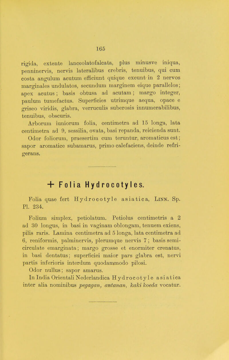 rigida, extente lanceolatofalcata, plus minusve iniqua, penninervis, nervis kteralibus crebris, tenuibus, qui cum costa angulum acutum efficiunt quique exeunt- in 2 nervos marginales undulatos, secundum marginem eique parallelos; apex acutus; basis obtusa ad acutam; margo integer, paulum tumefactus. Superficies utrimque aequa, opace e griseo viridis, glabra, verruculis suberosis innumerabilibus, tenuibus, obscuris. Arborum iuniorum folia, centimetra ad 15 longa, lata centimetra ad 9, sessilia, ovata^ basi repanda, reicienda sunt. Odor foliorum, praesertim cum teruntur, aromaticus est; sapor aromatice subamarus, primo calefaciens, deinde refri- gerans. + Folia Hydrocotyles. Folia quae fert Hydrocotyle asiatica, LiNN. Sp. Pl. 234. Foiium simplex, petiolatum. Petiolus centimetris a 2 ad 30 longus, in basi in vaginam oblongam, tenuem exiens, pilis raris. Lamina centimetra ad 5 longa, lata centimetra ad 6, reniformis, palminervis^ plerumque nervis 7; basis semi- circulate emarginata; margo grosse et enormiter crenatus, in basi dentatus; superficiei maior pars glabra est, nervi partis inferioris interdum quodammodo pilosi. Odor nullus; sapor amarus. In India Orientali Nederlandica Hydrocotyle asiatica inter alia nominibus pegagan, antanan, kaTci koeda vocatur.