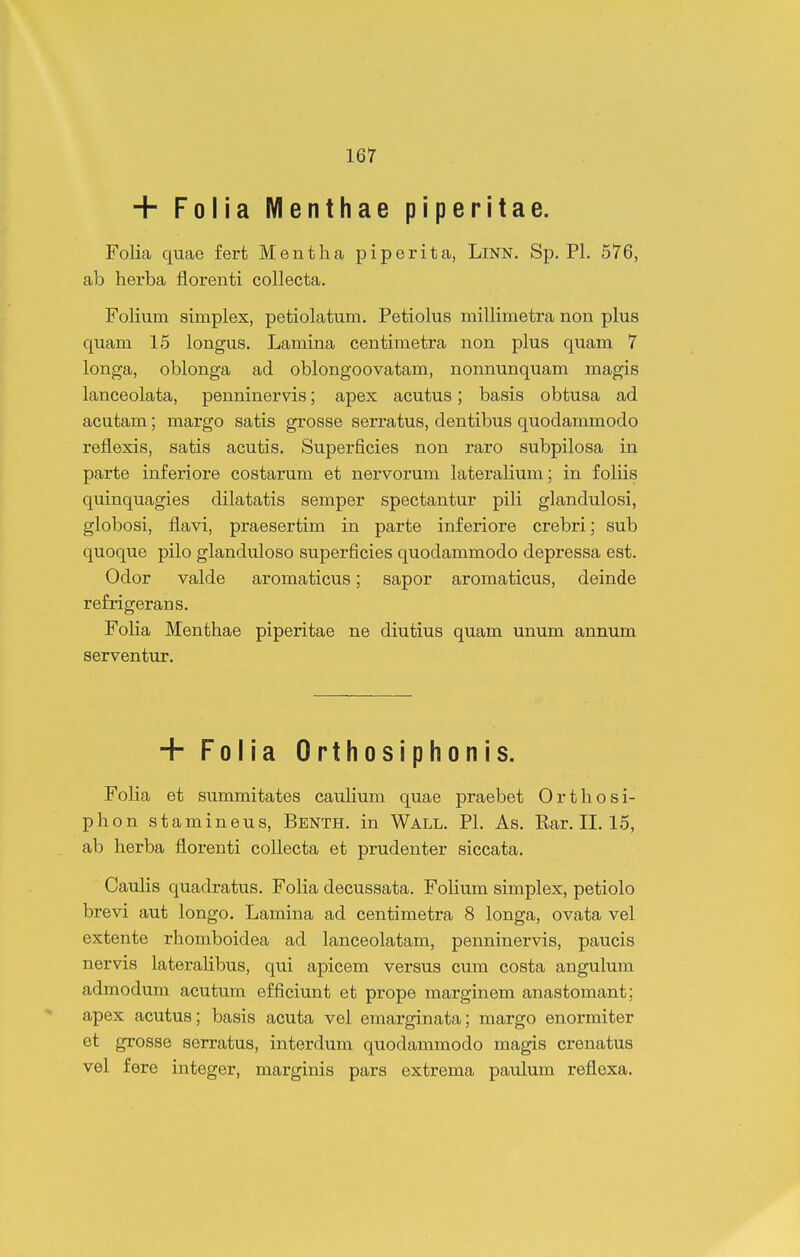 + Folia Menthae piperitae. Folia quae fert Mentha piperita, LlNN. Sp, Pl. 576, ab herba florenti collecta. Folium simplex, petiolatum. Petiolus millimetra non plus quam 15 longus. Lamina centimetra non plus quam 7 longa, oblonga ad oblongoovatam, nonnunquam magis lanceolata, penninervis; apex acutus; basis obtusa ad acutam; margo satis grosse serratus, dentibus quodammodo reflexis, satis acutis. Superficies non raro subpilosa in parte inferiore costarum et nervorum lateralium; in foliis quinquagies dilatatis semper spectantur pili glandulosi, globosi, flavi, praesertim in parte inferiore crebri; sub quoque pilo glanduloso superficies quodammodo depressa est. Odor valde aromaticus; sapor aromaticus, deinde refrigerans. Folia Menthae piperitae ne diutius quam unum annum serventur. + Folia Orthosiphonis. Folia et summitates caulium quae praebet Orthosi- phon stamineus, Benth. in Wall. Pl. As. Rar. II. 15, ab herba florenti coUecta et prudenter siccata. CauHs quadratus. Folia decussata. FoHum simplex, petiolo brevi aut longo. Lamina ad centimetra 8 longa, ovata vel extente rhomboidea ad lanceolatam, penninervis, paucis nervis lateralibus, qui apicem versus cum costa angulum admodum acutum efficiunt et prope marginem anastomant; apex acutus; basis acuta vei emarginata; margo enormiter et grosse serratus, interdum quodammodo magis crenatus vel fere integer, marginis pars extrema paulum reflexa.