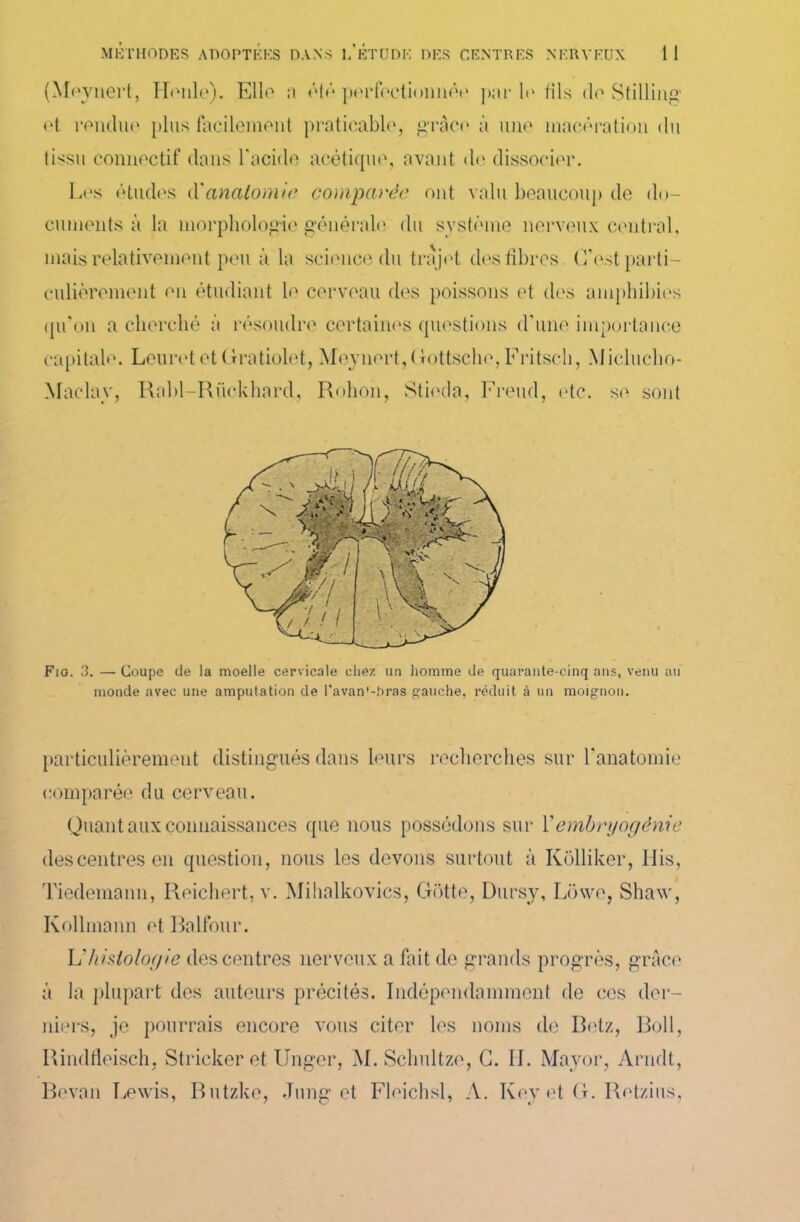 Los études d'anatomie comparée ont valu beaucoup de do- Fio. 3. — Coupe de la moelle cervicale chez un homme de quarante-cinq ans, venu au monde avec une amputation de l'avan’-bras gauche, réduit à un moignon. comparée du cerveau. Quant aux connaissances que nous possédons sur Y embryogénie descentres en question, nous les devons surtout à Kolliker, His, Tiedemann, Reichert, v. Mihalkovics, Gotte, Dursy, Lrnve, Shaw, Kollinann et Balfour. h'histologie des centres nerveux a fait de grands progrès, grâce à la plupart des auteurs précités. Indépendamment de ces der- niers, je pourrais encore vous citer les noms de Botz, Boll, Bevan Lewis, Butzke, Jung et Fleichsl, A. Key et G. Retzius, particulièrement distingués dans leurs recherches sur F anatomie