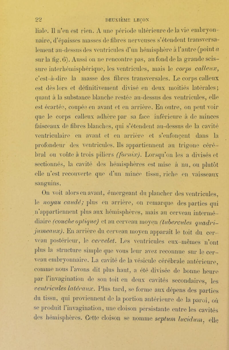 J liale. Il n’en est rien. A une période ultérieure de la vie embryon- naire, d’épaisses masses défibrés nerveuses s’étendent transversa- lement au-dessus des ventricules d’un hémisphère à l’autre (point a sur la fig\6). Aussi on 11e rencontre pas, au fond de la g rande scis- sure interhémisphérique, les ventricules, mais le corps calleux, c’est-à-dire la masse des fibres transversales. Le corps calleux est dès lors et définitivement divisé en deux moitiés latérales; quant à la substance blanche restée au-dessus des ventricules, elle est écartée, coupée en avant et en arrière. En outre, on peut voir que le corps calleux adhère par sa face inférieure à de minces faisceaux de fibres blanches, qui s’étendent au-dessus de la cavité ventriculaire en avant et en arrière et s’enfoncent dans la profondeur des ventricules. Ils appartiennent au trigone céré- bral ou voûte à trois piliers (fornix). Lorsqu’on les a divisés et sectionnés, la cavité des hémisphères est mise à nu, ou plutôt elle n’est recouverte que d’un mince tissu, riche en vaisseaux sanguins. On voit alors en avant, émergeant du plancher des ventricules, le noyau caudè; plus en arrière, on remarque des parties qui n’appartiennent plus aux hémisphères, mais au cerveau intermé- diaire (couche optique) et au cerveau moyen (tubercules quadri- jumeaux). En arrière du cerveau moyen apparaît le toit du cer- veau postérieur, le cervelet. Les ventricules eux-mêmes 11’ont plus la structure simple que vous leur avez reconnue sur le cer- veau embryonnaire. La cavité de la vésicule cérébrale antérieure, comme nous 1 avons dit plus haut, a été divisée de bonne heure par l’invagination de son toit en deux cavités secondaires, les ventricules latéraux. Plus tard, se forme aux dépens des parties du tissu, qui proviennent de la portion antérieure de la paroi, où se produit l'invagination, une cloison persistante entre les cavités des hémisphères. Cette cloison se nomme septum lucidum, elle