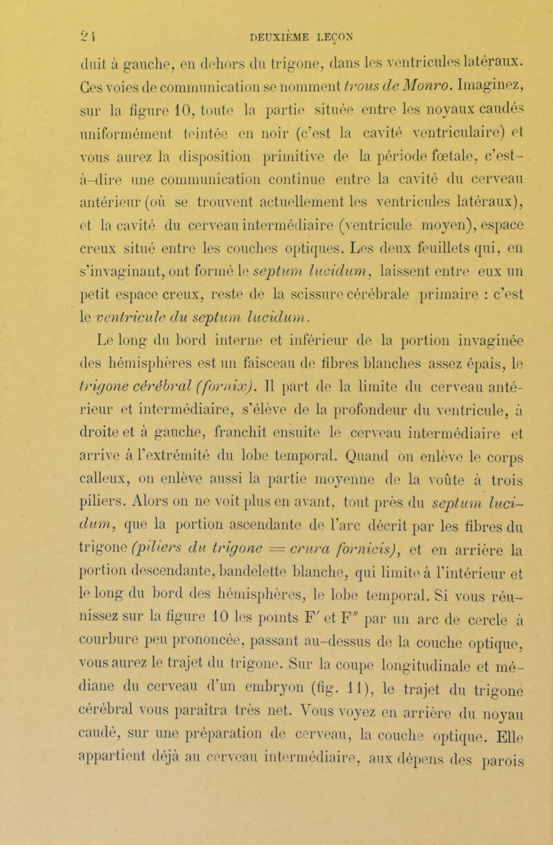 duit à gauche, en dehors du trigone, dans les ventricules latéraux. Ges voies de communication se nomment irons de Monro. Imaginez, sur la figure 10, toute la partie située entre les noyaux caudés uniformément teintée en noir (c’est la cavité ventriculaire) et vous aurez la disposition primitive de la période fœtale, c’est- à-dire une communication continue entre la cavité du cerveau antérieur (où se trouvent actuellement les ventricules latéraux), et la cavité du cerveau intermédiaire (ventricule moyen), espace creux situé entre les couches optiques. Les deux feuillets qui, en s’invaginant, ont formé le septum luoidum, laissent entre eux un petit espace creux, reste de la scissure cérébrale primaire : c’est le ventricule du septum lucidum. Le long du bord interne et inférieur de la portion invaginée des hémisphères est un faisceau de fibres blanches assez épais, le trigone cérébral (fornix). Il part de la limite du cerveau anté- rieur et intermédiaire, s’élève de la profondeur du ventricule, à droite et à gauche, franchit ensuite le cerveau intermédiaire et arrive à l’extrémité du lobe temporal. Quand on enlève le corps calleux, on enlève aussi la partie moyenne de la voûte à trois piliers. Alors on ne voit plus en avant, tout près du septum luci- dum, que la portion ascendante de l’arc décrit par les fibres du trigone (piliers du trigone — crura formais), et en arrière la portion descendante, bandelette blanche, qui limite à l’intérieur et le long du bord des hémisphères, le lobe temporal. Si vous réu- nissez sur la figure 10 les points F' et F par un arc de cercle à courbure peu prononcée, passant au-dessus de la couche optique, vous aurez le trajet du trigone. Sur la coupe longitudinale et mé- diane du cerveau d’un embryon (fig. 11), le trajet du trigone cérébral vous paraîtra très net. Vous voyez en arrière du noyau caudé, sur une préparation de cerveau, la couche optique. Elle appartient déjà au cerveau intermédiaire, aux dépens des parois