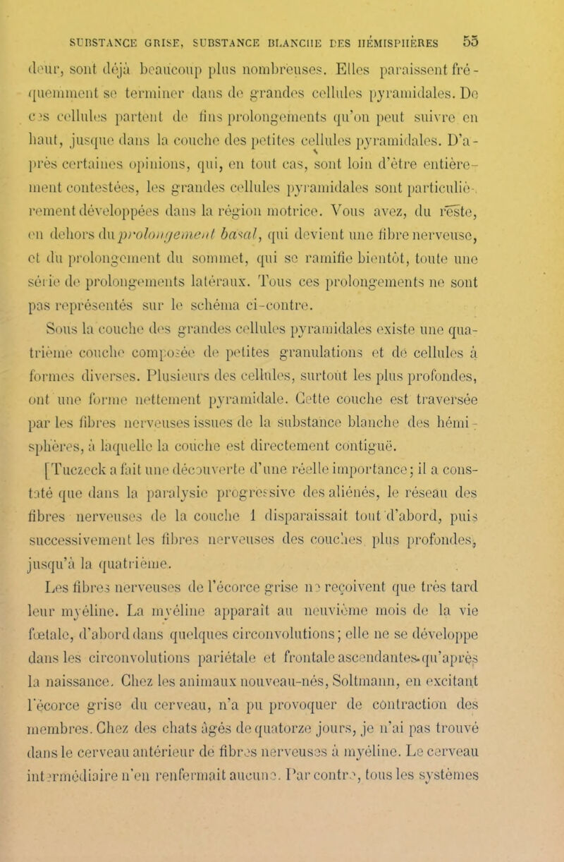 (loup, sont déjà beaucoup plus nombreuses. Elles paraissent fré- quemment se terminer dans de grandes cellules pyramidales. De c?s cellules partent de tins prolongements qu’on peut suivre en liant, jusque dans la couche des petites cellules pyramidales. D’a- près certaines opinions, qui, en tout cas, sont loin d’ètre entière- ment contestées, les grandes cellules pyramidales sont particuliè- rement développées dans la région motrice. Vous avez, du reste, (Mi dehors du prolongement ba^al, qui devient une fibre nerveuse, et du prolongement du sommet, qui se ramifie bientôt, toute une série de prolongements latéraux. Tous ces prolongements ne sont pas représentés sur h' schéma ci-contre. Sous la couche des grandes cellules pyramidales existe une qua- trième couche composée de petites granulations et dé cellules à formes diverses. Plusieurs des cellules, surtout les plus profondes, ont une forme nettement pyramidale. Cette couche est traversée par les fibres nerveuses issues de la substance blanche des hémiT sphères, à laquelle la couche est directement contiguë. [Tuczcck a fait une découverte d’une réelle importance; il a cons- taté que dans la paralysie progressive des aliénés, le réseau des fibres nerveuses de la couche 1 disparaissait tout d’abord, puis successivement les fibres nerveuses des couches, plus profondes, jusqu’à la quatrième. Les fibres nerveuses de l’écorce grise ne reçoivent que très tard leur myéline. La myéline apparaît au neuvième mois de la vie fœtale, d'abord dans quelques circonvolutions; elle ne se développe dans les circonvolutions pariétale et frontale ascendantes.qu’après la naissance. Chez les animaux nouveau-nés, Soltmann, en excitant l'écorce grise du cerveau, n’a pu provoquer de contraction des membres. Chez des chats âgés de quatorze jours, je n’ai pas trouvé dans le cerveau antérieur de fibres nerveuses à myéline. Le cerveau intermédiaire n’en renfermait aucune. Par contre, tous les systèmes