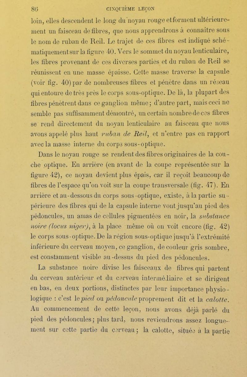 loin, elles descendent le long du noyau rouge et forment ultérieure- ment un faisceau défibrés, que nous apprendrons à connaître sous le nom de ruban de Reil. Le trajet de ces fibres est indiqué sché- matiquement sur la figure 40. Vers le sommet du noyau lenticulaire, les fibres provenant de ces diverses parties et du ruban de Reil se réunissent en une masse épaisse. Celte masse traverse la capsule (voir fig. 40) par de nombreuses fibres et pénètre dans un réseau qui entoure de très près le corps sous-optique. De là, la plupart des fibres pénètrent dans ce ganglion même; d’autre part, mais ceci ne semble pas suffisamment démontré, un certain nombre de ces fibres se rend directement du noyau lenticulaire au faisceau que nous avons appelé plus haut ruban de Reil, et n’entre pas en rapport avec la masse interne du corps sous-optique. Dans le noyau rouge se rendent des fibres originaires de la cou- che optique. En arrière (en avant de la coupe représentée sur la figure 42), ce noyau devient plus épais, car il reçoit beaucoup de fibres de l’espace qu’on voit sur la coupe transversale (fig. 47). En arrière et au-dessous du corps sous-optique, existe, à la partie su - périeure des fibres qui de la capsule interne vont jusqu’au pied des pédoncules, un amas de cellules pigmentées en noir, la substance noire (locus niger), à la place même où on voit encore (fig. 42) le corps sous-optique. De la région sous-optique jusqu’à l’extrémité inférieure du cerveau moyen, ce ganglion, de couleur gris sombre, est constamment visible au-dessus du pied des pédoncules. La substance noire divise les faisceaux de fibres qui partent du cerveau antérieur et du cerveau intermédiaire et se dirigent en bas, en deux portions, distinctes par leur importance physio- logique : c’est le pied ou pédoncule proprement dit et la calotte. Au commencement de cette leçon, nous avons déjà parlé du pied des pédoncules; plus tard, nous reviendrons assez longue- ment sur cette partie du cerveau ; la calotte, située à la partie