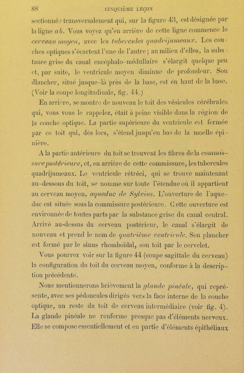 sectionné..1 transversalement qui, sur la figure 43, est désignée par la ligne ab. Vous voyez qu’en arrière de cette ligne commence le cerveau moyen, avec les tubercules quadrijumeaux. Les cou - ches optiques s’écartent l’une de l’autre ; au milieu d’elles, la subs - tance grise du canal encéphalo-médullaire s’élargit quelque peu et, par suite, le ventricule moyen diminue de profondeur. Son dlancher, situé jusque-là près de la base, est en liant do la base. (Voir la coupe longitudinale, fig. 44.) En arrière, se montre de nouveau le toit des vésicules cérébrales qui, vous vous le rappelez, était à peine visible dans la région de la couche optique. La partie supérieure du ventricule est fermée par ce toit qui, dès lors, s’étend jusqu’en bas de la moelle épi- nière. A la partie antérieure du toit se trouvent les fibres delà commis- sure postérieure, et, en arrière de cette commissure, les tubercules quadrijumeaux. Le ventricule rétréci, qui se trouve maintenant au-dessous du toit, se nomme sur toute l’étendue où il appartient au cerveau moyen, aqueduc de Sylvius. L’ouverture de l'aque- duc est située sous la commissure postérieure. C ette ouverture est environnée de toutes parts par la substance grise du canal central. Arrivé au-dessus du cerveau postérieur, le canal s’élargit de nouveau et prend le nom de quatrième ventricule. Son plancher est formé par le sinus rhoinboïdal, son toit par le cervelet. Vous pourrez voir sur la figure 44 (coupe sagittale du cerveau) la configuration du toit du cerveau moyen, conforme à la descrip- tion précédente. Nous mentionnerons brièvement la glande pinêale, qui repré- sente, avec ses pédoncules dirigés vers la face interne de la couche optique, un reste du toit de cerveau intermédiaire (voir fig. 4). La glande pinéale ne renferme presque pas d’éléments nerveux. Elle se compose essentiellement et en partie d’éléments épithéliaux