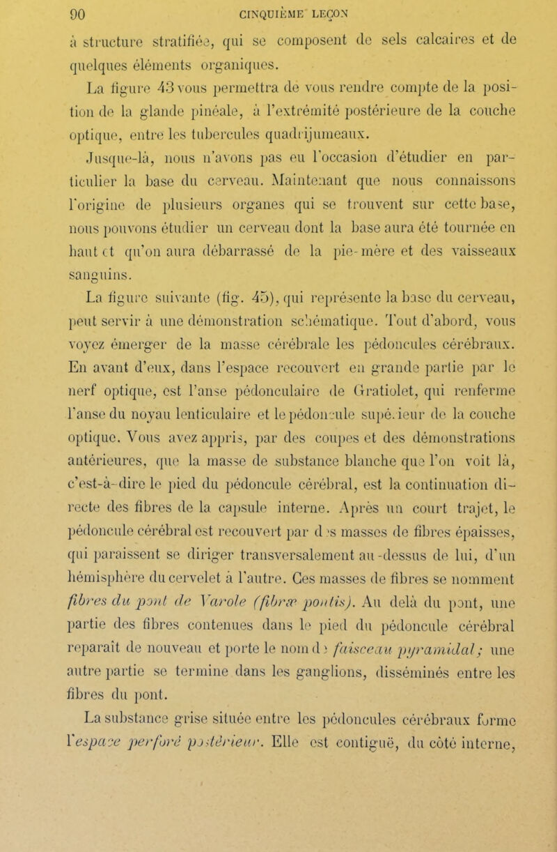 à structure stratifiée, qui se composent de sels calcaires et de quelques éléments organiques. La figure 43 vous permettra de vous rendre compte de la posi- tion de la glande pinéale, à l’extrémité postérieure de la couche optique, entre les tubercules quadrijumeaux. Jusque-là, nous n’avons pas eu l’occasion d’étudier en par- ticulier la base du cerveau. Maintenant que nous connaissons l'origine de plusieurs organes qui se trouvent sur cette base, nous pouvons étudier un cerveau dont la base aura été tournée en haut et qu’on aura débarrassé de la pie-mère et des vaisseaux sanguins. La figure suivante (fig. 45), qui représente la base du cerveau, peut servir à une démonstration schématique. Tout d’abord, vous voyez émerger de la masse cérébrale les pédoncules cérébraux. En avant d’eux, dans l'espace recouvert eu grande partie par le nerf optique, est l’anse pédonculairc de Gratiolet, qui renferme l’anse du noyau lenticulaire et le pédoncule supérieur de la couche optique. Vous avez appris, par des coupes et des démonstrations antérieures, que la masse de substance blanche que l’on voit là, c’est-à-dire le pied du pédoncule cérébral, est la continuation di- recte des fibres de la capsule interne. Après un court trajet, le pédoncule cérébral est recouvert par d .'s masses de fibres épaisses, qui paraissent se diriger transversalement au-dessus de lui, d’un hémisphère du cervelet à l’autre. Ces masses de fibres se nomment fibres du pont de Yarole (fibræ pontis). Au delà du pont, une partie des fibres contenues dans le pied du pédoncule cérébral reparaît de nouveau et porte le nom d ) faisceau pyramidal ; une autre partie se termine dans les ganglions, disséminés entre les fibres du pont. La substance grise située entre les pédoncules cérébraux forme Xespace perforé postérieur. Elle est contiguë, du côté interne,