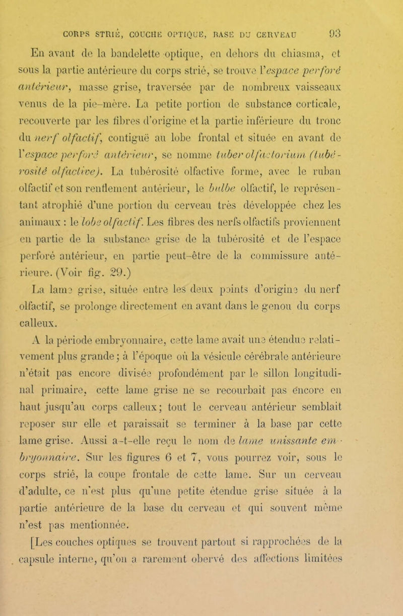 En avant cle la bandelette optique, en dehors du chiasma, et sous la partie antérieure du corps strié, se trouve Y espace perfore anterieur, masse grise, traversée par de nombreux vaisseaux venus de la pie-mère. La petite portion de substance corticale, recouverte par les fibres d’origine et la partie inférieure du tronc du nerf olfactif, contiguë au lobe frontal et située en avant de Y espace per foré antérieur, se nomme tuber ol facto rüun (tubé- rosité olfactive). La tubérosité olfactive forme, avec le ruban olfactif et son renflement antérieur, le bulbe olfactif, le représen- tant atrophié d’une portion du cerveau très développée chez les animaux : le lobe olfactif. Les fibres des nerfs olfactifs proviennent en partie de la substance grise de la tubérosité et de l’espace perforé antérieur, en partie peut-être de la commissure anté- rieure. (Voir dg. 29.) La lama grise, située entre les deux points d’origine du nerf olfactif, se prolonge directement en avant dans le genou du corps calleux. A la période embryonnaire, cette lame avait une étendue relati- vement plus grande ; à l’époque où la vésicule cérébrale antérieure n’était pas encore divisée profondément par le sillon longitudi- nal primaire, cette lame grise ne se recourbait pas encore en haut jusqu’au corps calleux; tout le cerveau antérieur semblait reposer sur elle et paraissait se terminer à la base par cette lame grise. Aussi a-t-elle reçu le nom do lame unissante em - bryonnaire. Sur les figures 6 et 7, vous pourrez voir, sous le corps strié, la coupe frontale de cette lame. Sur un cerveau d’adulte, ce n'est plus qu’une petite étendue grise située à la partie antérieure de la base du cerveau et qui souvent même n’est pas mentionnée. [ Les couches optiques se trouvent partout si rapprochées de la capsule interne, qu'on a rarement obervé des affections limitées