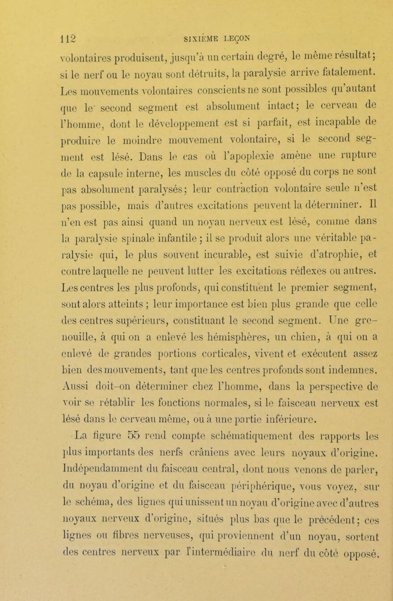 volontaires produisent, jusqu’à un certain degré, le même résultat; si le nerf ou le noyau sont détruits, la paralysie arrive fatalement. Les mouvements volontaires conscients ne sont possibles qu autant que le second segment est absolument intact ; le cerveau de l’homme, dont le développement est si parfait, est incapable de produire le moindre mouvement volontaire, si le second seg- ment est lésé. Dans le cas où l’apoplexie amène une rupture de la capsule interne, les muscles du côté opposé du corps 11e sont pas absolument paralysés; leur contraction volontaire seule n’est pas possible, mais d’autres excitations peuvent la déterminer. Il n’en est pas ainsi quand un noyau nerveux est lésé, comme dans la paralysie spinale infantile ; il se produit alors une véritable pa- ralysie qui, le plus souvent incurable, est suivie d’atrophie, et contre laquelle ne peuvent lutter les excitations réflexes ou autres. Les centres les plus profonds, qui constituent le premier segment, sont alors atteints ; leur importance est bien plus grande que celle des centres supérieurs, constituant le second segment. Une gre- nouille, à quion a enlevé les hémisphères, un chien, à qui on a enlevé de grandes portions corticales, vivent et exécutent assez bien des mouvements, tant que les centres profonds sont indemnes. Aussi doit-on déterminer chez l’homme, dans la perspective de voir se rétablir les fonctions normales, si le faisceau nerveux est lésé dans le cerveau même, ou à une partie inférieure. La figure 55 rend compte schématiquement des rapports les plus importants des nerfs crâniens avec leurs noyaux d’origine. Indépendamment du faisceau central, dont nous venons de parler, du noyau d’origine et du faisceau périphérique, vous voyez, sur le schéma, des lignes qui unissent un noyau d’origine avec d’autres noyaux nerveux d’origine, situés plus bas que le précédent; ces lignes ou fibres nerveuses, qui proviennent d’un noyau, sortent des centres nerveux par f intermédiaire du nerf du côté opposé.