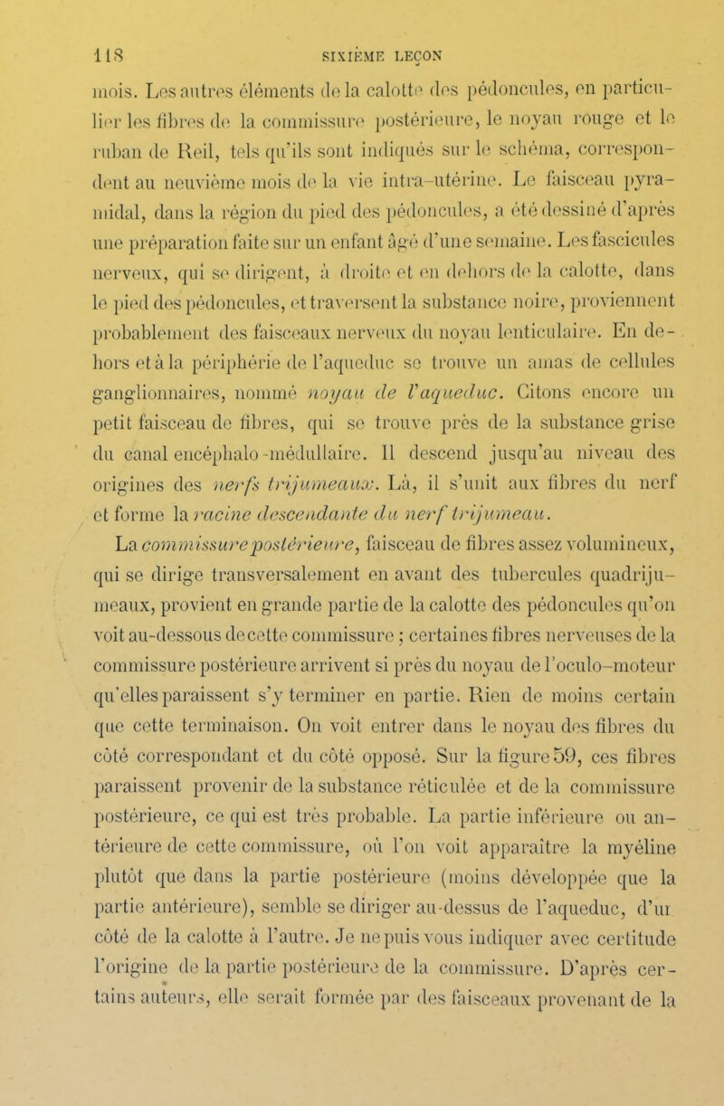 mois. Los autres éléments delà calotte dos pédoncules, en particu- lier les fibres de la commissure postérieure, le noyau rouge et le ruban de Reil, tels qu'ils sont indiqués sur le schéma, correspon- dent au neuvième mois de la vie intra-utérine. Le faisceau pyra- midal, clans la région du pied des pédoncules, a été dessiné d’après une préparation faite sur un enfant âgé d’une semaine. Les fascicules nerveux, qui so dirigent, à droite et en dehors de la calotte, dans le pied des pédoncules, et traversent la substance noire, proviennent probablement des faisceaux nerveux du noyau lenticulaire. En de- hors et à la périphérie de l’aqueduc se trouve un amas de cellules ganglionnaires, nommé noyau de Vaqueduc. Citons encore un petit faisceau de fibres, qui so trouve près de la substance grise du canal encéplialo-médullaire. 11 descend jusqu’au niveau des origines des nerfs trijumeaux. Là, il s’unit aux fibres du nerf et forme la racine descendante du nerf trijumeau. La commissure postérieure, faisceau de fibres assez volumineux, qui se dirige transversalement en avant des tubercules quadriju- meaux, provient en grande partie de la calotte des pédoncules qu’on voit au-dessous de cette commissure ; certaines fibres nerveuses de la commissure postérieure arrivent si près du noyau de l’oculo-moteur qu’elles paraissent s’y terminer en partie. Rien de moins certain que cette terminaison. On voit entrer dans le noyau des fibres du coté correspondant et du côté opposé. Sur la figure 59, ces fibres paraissent provenir de la substance réticulée et de la commissure postérieure, ce qui est très probable. La partie inférieure ou an- térieure de cette commissure, où l’on voit apparaître la myéline plutôt que dans la partie postérieure (moins développée que la partie antérieure), semble se diriger au-dessus de l’aqueduc, d’ur côté do la calotte a l’autre. Je ne puis vous indiquer avec certitude l’origine de la partie postérieure de la commissure. D’après cer- * tains auteurs, elle serait formée par des faisceaux provenant de la