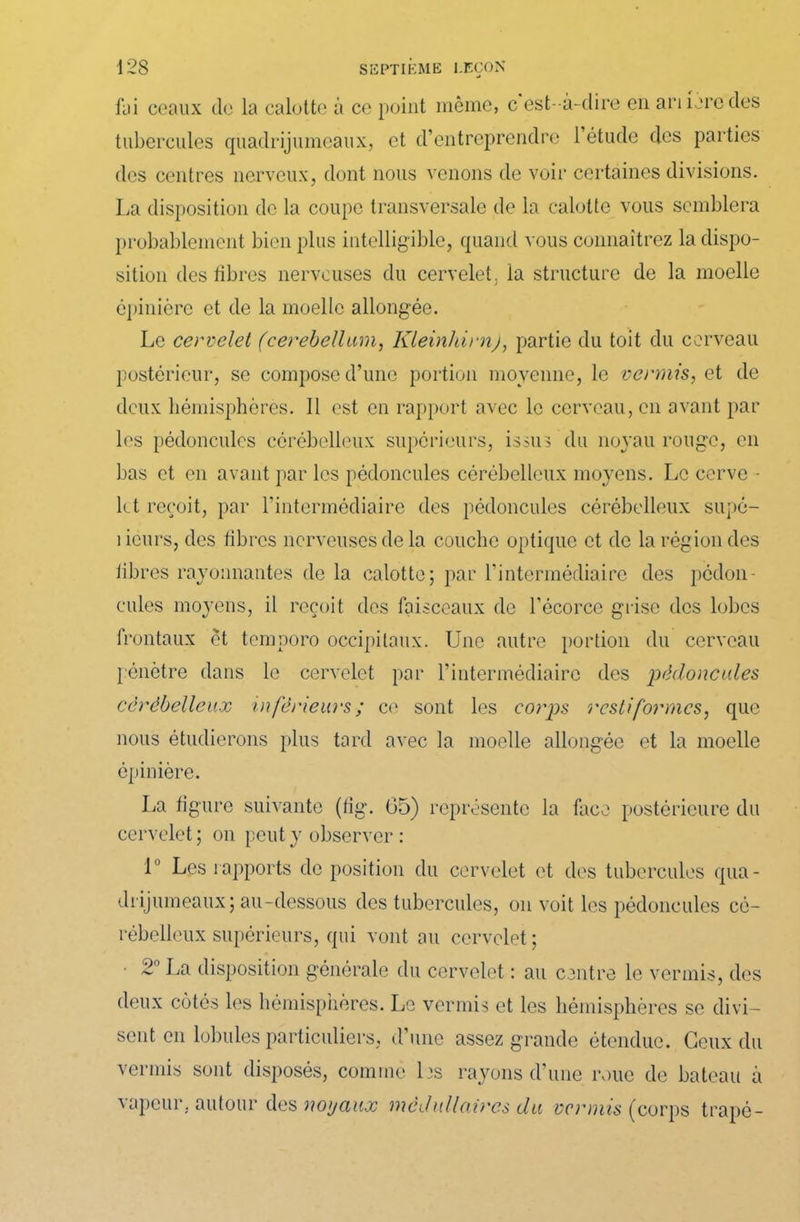 fai ceaux de la calotte à ce point même, c est-à-dire en an iare des tubercules quadrijumeaux, et d’entreprendre 1 étude des parties des centres nerveux, dont nous venons de voir certaines divisions. La disposition de la coupe transversale de la calotte vous semblera probablement bien plus intelligible, quand vous connaîtrez la dispo- sition des fibres nerveuses du cervelet, la structure de la moelle épinière et de la moelle allongée. Le cervelet (cerebellam, Kleinhirnj, partie du toit du cerveau postérieur, se compose d’une portion moyenne, le verrais, et de deux hémisphères. Il est en rapport avec le cerveau, en avant par les pédoncules cérébelleux supérieurs, issus du noyau rouge, en bas et en avant par les pédoncules cérébelleux moyens. Le cervc - kt reçoit, par l’intermédiaire des pédoncules cérébelleux supé- rieurs, des fibres nerveuses de la couche optique et de la région des libres rayonnantes de la calotte; par l’intermédiaire des pédon- cules moyens, il reçoit des faisceaux de l’écorce grise des lobes frontaux et temporo occipitaux. Une autre portion du cerveau pénètre dans le cervelet par l’intermédiaire des pédoncules cérébelleux inférieurs ; ce sont les corps restiformes, que nous étudierons plus tard avec la moelle allongée et la moelle épinière. La figure suivante (fig. 65) représente la face postérieure du cervelet; on peut y observer : 1 Les rapports déposition du cervelet et des tubercules qua- drijumeaux; au-dessous des tubercules, on voit les pédoncules cé- rébelleux supérieurs, qui vont au cervelet ; 2° La disposition générale du cervelet : au centre le verinis, des deux côtés les hémisphères. Le verrais et les hémisphères se divi- sent en lobules particuliers, d’une assez grande étendue. Ceux du verrais sont disposés, comme les rayons d’une roue de bateau à vapeur, autour des noyaux médullaires du venais (corps trapé-