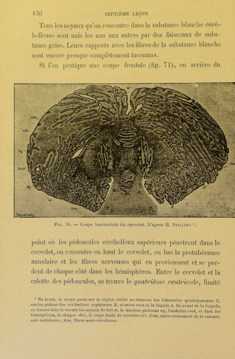 Tous les noyaux qu’on rencontre dans la substance blanche céré- belleuse sont unis les uns aux autres par des faisceaux de subs- tance grise. Leurs rapports avec les fibres de la substance blanche sont encore presque complètement inconnus. Si l’on pratique une coupe frontale (fig. 71), en arrière du Fig. 70. — Coupe horizontale du cervelet. D'après B. Stilling *. point où les pédoncules cérébelleux supérieurs pénètrent dans le cervelet, on rencontre en haut le cervelet, en bas la protubérance annulaire et les fibres nerveuses qui en proviennent et se per- dent de chaque coté dans les hémisphères. Entre le cervelet et la calotte des pédoncules, se trouve le quatrième ventricule, limité * En avant, la coupe porte sur la région située au-dessous des tubercules quadrijumeaux T, surles pédonc îles cérébelleux supérieurs R, et entre ceux-ci la lingula A. En avant de la lingula, on trouve dans le venais les noyaux du toit m, le nucléus globosus ng, Lembolus emb, et dans les hémisphères, de chaque côté, le corps denté du cervelet cde. Corn, entre-croisement de la commis- sure antérieure ; Soit, fibres semi-circulaires.