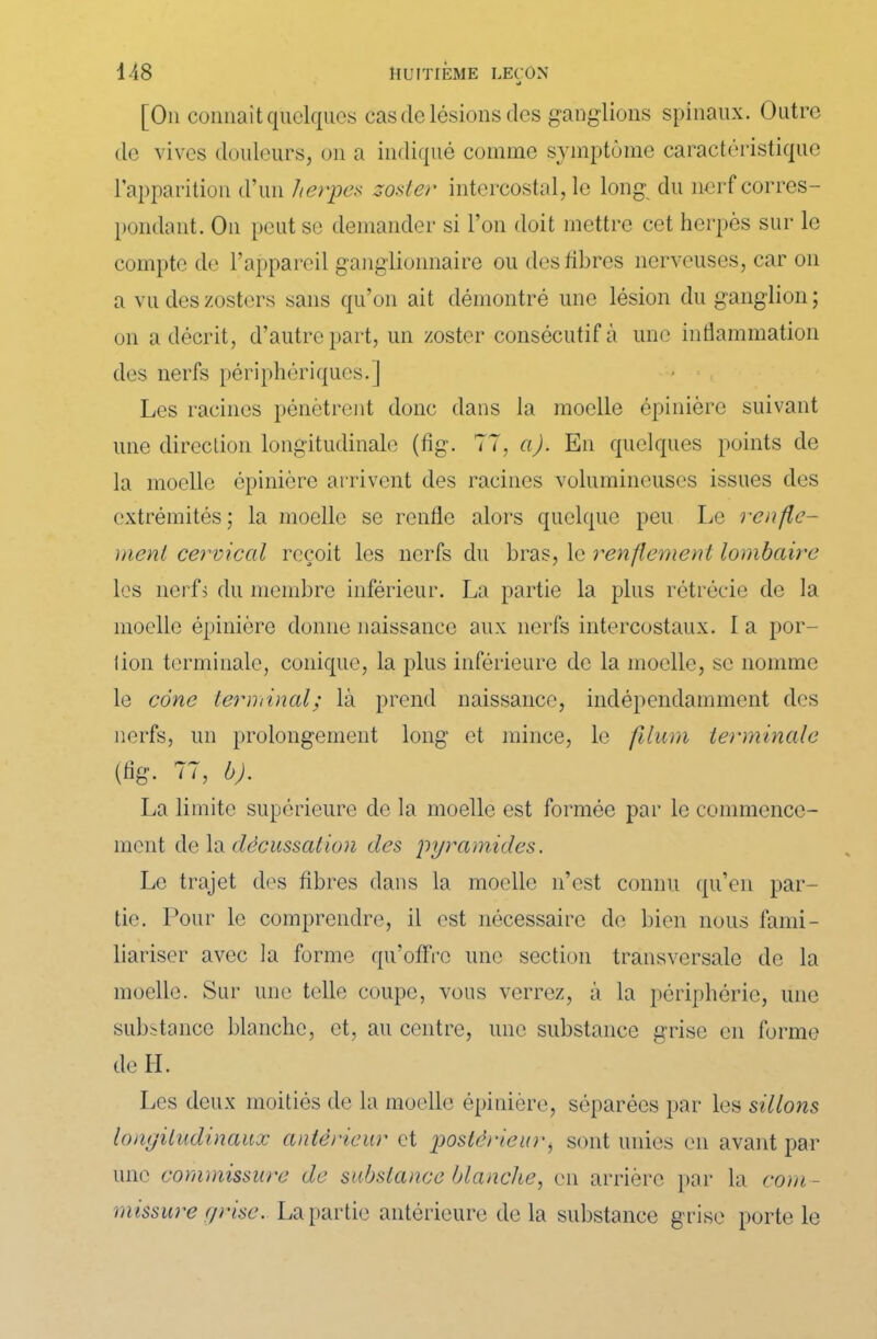 [On connaît quelques cas cle lésions des ganglions spinaux. Outre de vives douleurs, on a indiqué comme symptôme caractéristique l’apparition d’un herpes zoster intercostal, le long du nerf corres- pondant. On peut se demander si l’on doit mettre cet herpès sur le compte de l’appareil ganglionnaire ou des libres nerveuses, car on a vu des zosters sans qu’on ait démontré une lésion du ganglion ; on a décrit, d’autre part, un zoster consécutif à une inflammation des nerfs périphériques.] Les racines pénètrent donc dans la moelle épinière suivant une direction longitudinale (fig. 77, a). En quelques points de la moelle épinière arrivent des racines volumineuses issues des extrémités; la moelle se renfle alors quelque peu Le renfle- ment cervical reçoit les nerfs du bras, le renflement lombaire les nerfs du membre inférieur. La partie la plus rétrécie de la moelle épinière donne naissance aux nerfs intercostaux. I a por- lion terminale, conique, la plus inférieure de la moelle, se nomme le cône terminal; là prend naissance, indépendamment des nerfs, un prolongement long et mince, le filum terminale (fig. 77, b). La limite supérieure de la moelle est formée par le commence- ment de la décussation des pyramides. Le trajet des fibres dans la moelle n’est connu qu’en par- tie. Pour le comprendre, il est nécessaire de bien nous fami- liariser avec la forme qu’offre une section transversale de la moelle. Sur une telle coupe, vous verrez, à la périphérie, une substance blanche, et, au centre, une substance grise en forme de H. Les deux moitiés de la moelle épinière, séparées par les sillons longitudinaux antérieur et postérieur, sont unies en avant par une commissure de substance blanche, en arrière par la com - missure grise. La partie antérieure de la substance grise porte le