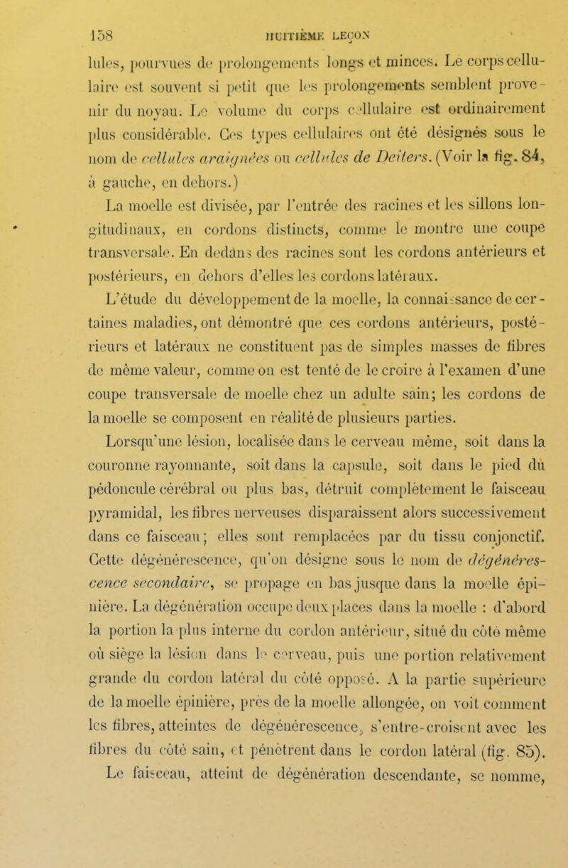 Iules, pourvues de prolongements longs et minces. Le corps cellu- laire est souvent si petit que 1<‘S prolongements semblent prove- nir clu noyau. Le volume du corps cellulaire est ordinairement plus considérable. Ces types cellulaires ont été désignés sous le nom de cellules araignées ou cellules de Deüers. (Voir la fig. 84, à gauche, en dehors.) La moelle est divisée, par l’entrée des racines et les sillons lon- gitudinaux, en cordons distincts, comme le montre une coupe transversale. En dedans des racines sont les cordons antérieurs et postérieurs, en dehors d’elles les cordons latéraux. L'étude du développement de la moelle, la connaissance de cer- taines maladies, ont démontré que ces cordons antérieurs, posté- rieurs et latéraux ne constituent pas de simples masses de libres de même valeur, comme on est tenté de le croire à l'examen d’une coupe transversale de moelle chez un adulte sain; les cordons de la moelle se composent en réalité de plusieurs parties. Lorsqu'une lésion, localisée dans le cerveau mémo, soit dans la couronne rayonnante, soit dans la capsule, soit dans le pied du pédoncule cérébral ou plus bas, détruit complètement le faisceau pyramidal, les libres nerveuses disparaissent alors successivement dans ce faisceau ; elles sont remplacées par du tissu conjonctif. Cette dégénérescence, qu’on désigne sous le nom de dégénéres- cence secondaire, se propage en bas jusque dans la moelle épi- nière. La dégénération occupe deux [-laces dans la moelle : d'abord la portion la plus interne du cordon antérieur, situé du côte même où siège la lésion dans le cerveau, puis une portion relativement grande du cordon latéral du côté opposé. A la partie supérieure de la moelle épinière, près de la moelle allongée, on voit comment les fibres, atteintes de dégénérescence, s’entre-croisent avec les fibres du côté sain, et pénètrent dans le cordon latéral (fig. 85). Le faisceau, atteint de dégénération descendante, se nomme,