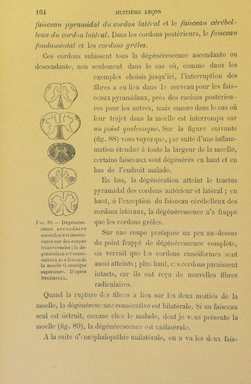 faisceau pyramidal du cordon latéral et le faisceau cérébel- leux du cordon latéral. Dans les cordons postérieurs, le faisceau fondamental et les cordons grêles. Ces cordons subissent tous la dégénérescence ascendante ou descendante, non seulement dans le cas où, comme dans les exemples choisis jusqu’ici, l’interruption des libres a eu lieu dans le cerveau pour les fais- ceaux pyramidaux, près des racines postérieu- res pour les autres, mais encore dans le cas où leur trajet dans la moelle est interrompu sur un point quelconque. Sur la figure suivante (fig. 88) vous voyez que, par suite d’une inflam- mation étendue à toute la largeur de la moelle, certains faisceaux sont dégénérés en haut et en bas de l’endroit malade. En bas, la dégénération atteint le tractus pyramidal des cordons antérieur et latéral ; en liant, à l’exception du faisceau cérébelleux des cordons latéraux, la dégénérescence n’a frappé que les cordons grêles. Sur une coupe pratiquée un peu au-dessus du point frappé de dégénérescence complète, on verrait que les cordons cunéiformes sont aussi atteints ; plus haut, ces cordons paraissent intacts, car ils ont reçu de nouvelles fibres radiculaires. Quand la rupture des fibres a lieu sur les deux moitiés de la moelle, la dégénérescence consécutive est bilatérale. Si un faisceau seul est détruit, comme chez le malade, dont je vous présente la moelle (fig. 89), la dégénérescence est unilatérale. A la suite d’encéphalopathie unilatérale, on a vu les deux iais- I IG. 88. — Dégénéres- cence secondaire ascendan'.e et descen- dante sur des coupes transversales ; la dé- génération est consé- cutiveà uue lésion de la moelle thoracique supérieure. D'après Strümpell.