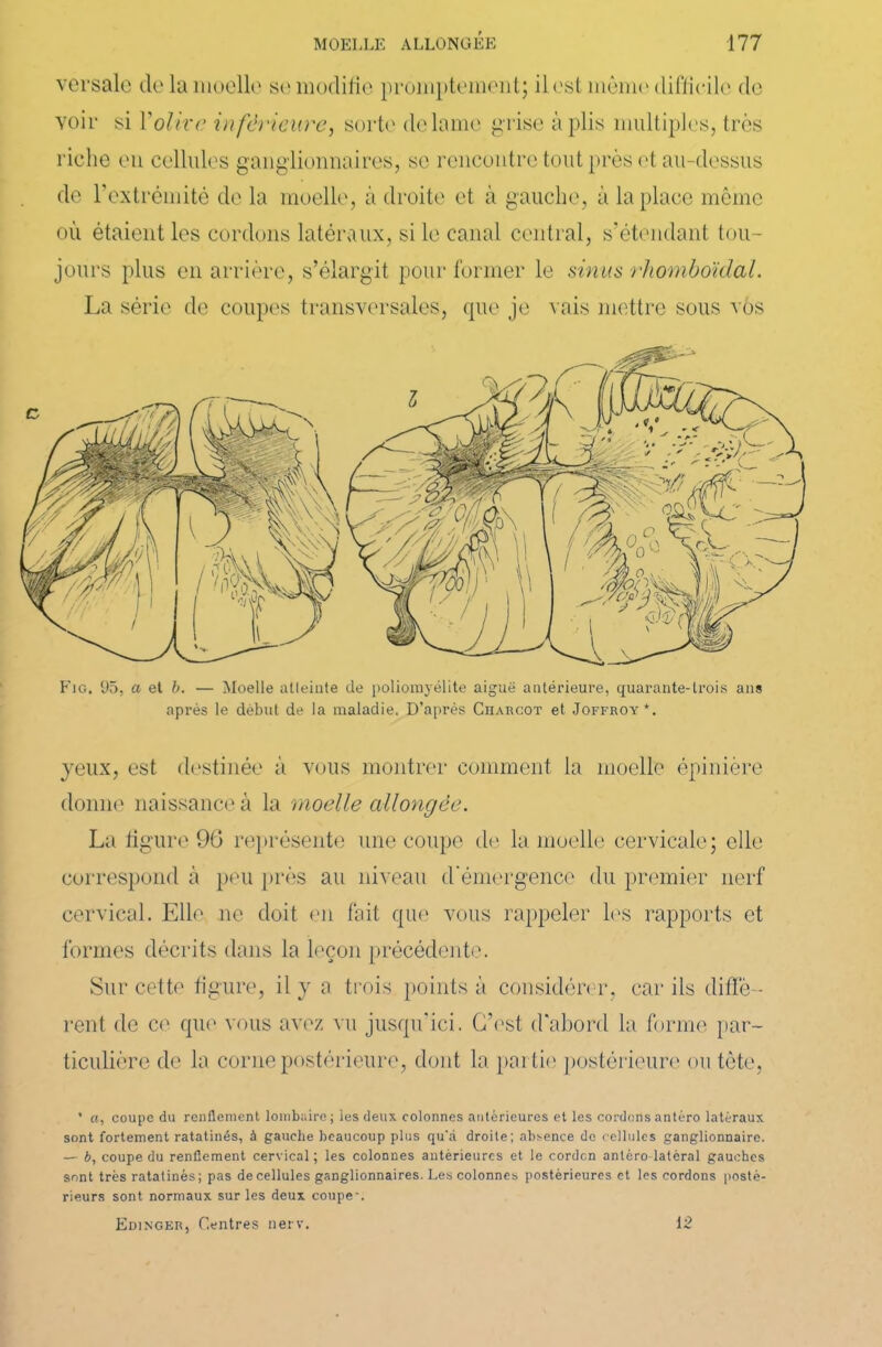 versalc de la moelle se modifie promptement; ilest mémo difficile de voir si Y olive inférieure, sorte de lame grise à plis multiples, très riche eu cellules ganglionnaires, se rencontre tout près et au-dessus de l’extrémité de la moelle, à droite et à gauche, à la place même où étaient les cordons latéraux, si le canal central, s’étendant tou- jours plus en arrière, s’élargit pour former le sinus rhomboïdal. La série de coupes transversales, que je vais mettre sous vos Fig. 95, a et b. — Moelle atleiate de poliomyélite aiguë antérieure, quarante-trois ans après le début de la maladie. D’après Charcot et Joffroy*. jeux, est destinée à vous montrer comment la moelle épinière donne naissance à la moelle allongée. La figure 96 représente une coupe de la moelle cervicale; elle correspond à peu [très au niveau d'émergence du premier nerf cervical. Elle ne doit en fait que vous rappeler les rapports et formes décrits dans la leçon précédente. Sur cette figure, il y a trois points à considérer, car ils diffè - rent de ce que vous avez vu jusqu’ici. C’est d'abord la forme par- ticulière de la corne postérieure, dont la par tie postérieure ou tête, ' «, coupc du renflement lombaire; les deux colonnes antérieures et les cordons antéro latéraux sont fortement ratatinés, à gauche beaucoup plus qu'à droite; absence de cellules ganglionnaire. — b, coupe du renflement cervical; les colonnes antérieures et le cordon antéro latéral gauches sont très ratatinés; pas de cellules ganglionnaires. Les colonnes postérieures et les cordons posté- rieurs sont normaux sur les deux coupe'. Edinger, Centres nerv. 12