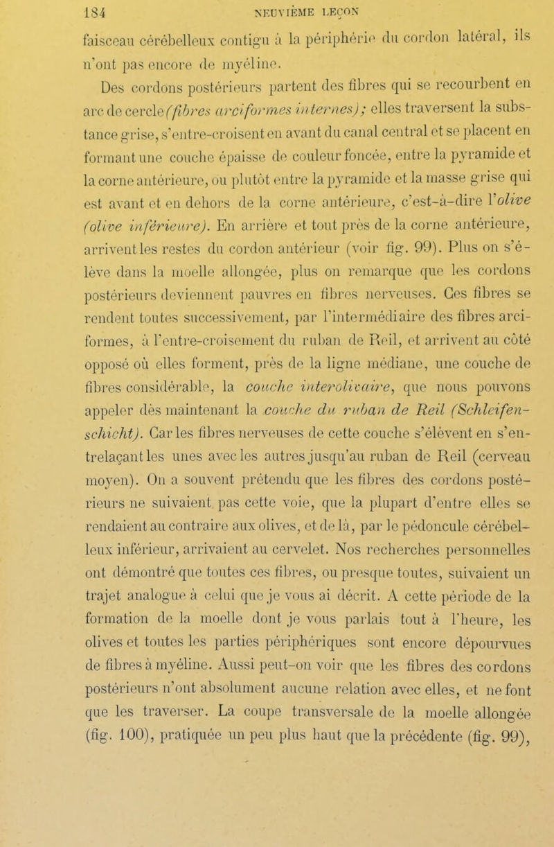 faisceau cérébelleux contigu à la périphérie du cordon latéral, ils n’ont pas encore de myéline. Des cordons postérieurs partent des fibres qui se recourbent en arc de cercle(flbres arciformes, internes); elles traversent la subs- tance grise, s’entre-croisent en avant du canal central et se placent en formant une couche épaisse de couleur foncée, entre la pyramide et la corne antérieure, ou plutôt entre la pyramide et la masse grise qui est avant et en dehors de la corne antérieure, c’est-à-dire 1 olive (olive inférieure). En arrière et tout près de la corne antérieure, arrivent les restes du cordon antérieur (voir fig. 99). Plus on s’é- lève dans la moelle allongée, plus on remarque que les cordons postérieurs deviennent pauvres en fibres nerveuses. Ces fibres se rendent toutes successivement, par l’intermédiaire des fibres arci- formes, à l'entre-croisement du ruban de Reil, et arrivent au coté opposé où elles forment, près de la ligne médiane, une couche de fibres considérable, la couche interolivaire, que nous pouvons appeler dès maintenant la couche du ruban de Reil (Schlcifen- schicht). Caries fibres nerveuses de cette couche s’élèvent en s’en- trelaçant les unes avec les autres jusqu’au ruban de Reil (cerveau moyen). On a souvent prétendu que les fibres des cordons posté- rieurs ne suivaient pas cette voie, que la plupart d’entre elles se rendaient au contraire aux olives, et de là, par le pédoncule cérébel- leux inférieur, arrivaient au cervelet. Nos recherches personnelles ont démontré que toutes ces fibres, ou presque toutes, suivaient un trajet analogue à celui que je vous ai décrit. A cette période de la formation de la moelle dont je vous parlais tout à l’heure, les olives et toutes les parties périphériques sont encore dépourvues de fibres à myéline. Aussi peut-on voir que les fibres des cordons postérieurs n’ont absolument aucune relation avec elles, et ne font que les traverser. La coupe transversale de la moelle allongée (fig. 100), pratiquée un peu plus haut que la précédente (fig. 99),