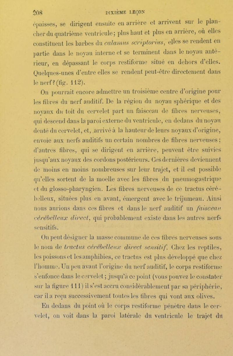 épaisses, se dirigent ensuite en arrière et arrivent sui le plan- cher du quatrième ventricule; plus haut et plus en arrièie, où elles constituent les barbes du calamus scriptorius, elles se îendent en partie dans le noyau interne et se terminent dans le noyau anté- rieur, en dépassant le corps restiforme situé en dehors d’elles. Quelques-unes d’entre elles se rendent peut-être directement dans le nerf ? (tig. 112). On pourrait encore admettre un troisième centre d’origine poul- ies fibres du nerf auditif. De la région du noyau sphérique et des noyaux du toit du cervelet part un faisceau de fibres nerveuses, qui descend dans la paroi externe du ventricule, en dedans du noyau denté du cervelet, et, .arrivé à la hauteur de leurs noyaux d’origine, envoie aux nerfs auditifs un certain nombres de fibres nerveuses; d'autres fibres, qui se dirigent en arrière, peuvent être suivies jusqu'aux noyaux des cordons postérieurs. Ces dernières deviennent de moins en moins nombreuses sur leur trajet, et il est possible qu’elles sortent de la moelle avec les fibres du pneumogastrique et du glosso-pharyngien. Les fibres nerveuses de ce tractus céré- belleux, situées plus en avant, émergent avec le trijumeau. Ainsi nous aurions dans ces fibres et dans le nerf auditif un faisceau cérébelleux direct, qui probablement existe dans les autres nerfs sensitifs. On peut désigner la masse commune de ces fibres nerveuses sous le nom de tractus cérébelleux direct sensitif. Chez les reptiles, les poissons et les amphibies, ce tractus est plus développé que chez l'homme. Un peu avant l’origine du nerf auditif, le corps restiforme s’enfonce dans le cervelet ; jusqu’à ce point (n ous pouvez le constater sur la figure 111) il s’est accru considérablement par sa périphérie, car il a reçu successivement toutes les fibres qui vont aux olives. En dedans du point où le corps restiforme pénètre dans le cer- velet, on voit dans la paroi latérale du ventricule le trajet dit