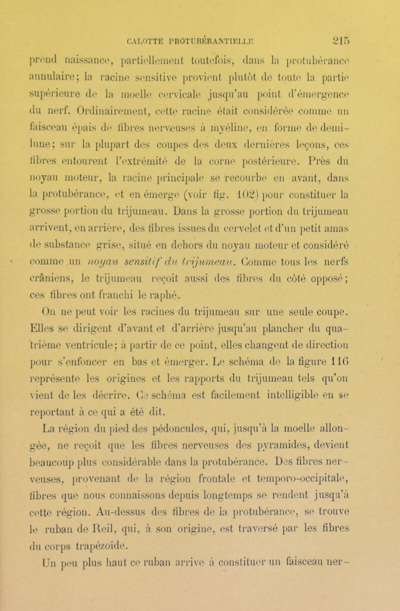 prend naissance, partiellement toutefois, dans la protubérance annulaire; la racine sensitive provient plutôt de toute la partie supérieure de la moelle cervicale jusqu’au point d’émergence du nerf. Ordinairement, cette racine était considérée comme un faisceau épais de libres nerveuses à myéline, en forme de demi- lune; sur la plupart des coupes des deux dernières leçons, ces libres entourent l’extrémité de la corne postérieure. Près du noyau moteur, la racine principale se recourbe en avant, dans la protubérance, et en émerge (voir fig. 102) pour constituer la grosse portion du trijumeau. Dans la grosse portion du trijumeau arrivent, en arrière, des fibres issues du cervelet et d’un petit amas de substance grise, situé en dehors du noyau moteur et considéré comme un noyau sensitif du trijumeau. Comme tous les nerfs crâniens, le trijumeau reçoit aussi des fibres du côté opposé; ces fibres ont franchi le raphé. On 11e peut voir les racines du trijumeau sur une seule coupe. Elles se dirigent d’avant et d’arrière jusqu’au plancher du qua- trième ventricule; à partir de ce point, elles changent de direction pour s’enfoncer en bas et émerger. Le schéma de la figure 110 représente les origines et les rapports du trijumeau tels qu’on vient de les décrire. Ce schéma est facilement intelligible en se reportant à ce qui a été dit. La région du pied des pédoncules, qui, jusqu’à la moelle allon- gée, ne reçoit que les fibres nerveuses des pyramides, devient beaucoup plus considérable dans la protubérance. Des fibres ner- veuses, provenant de la région frontale et temporo-occipitale, fibres que nous connaissons depuis longtemps se rendent jusqu’à cette région. Au-dessus des fibres de la protubérance, se trouve le ruban de Red, qui, à son origine, est traversé par les fibres du corps trapézoïde. Un peu plus haut ce ruban arrive à constituer un faisceau lier-