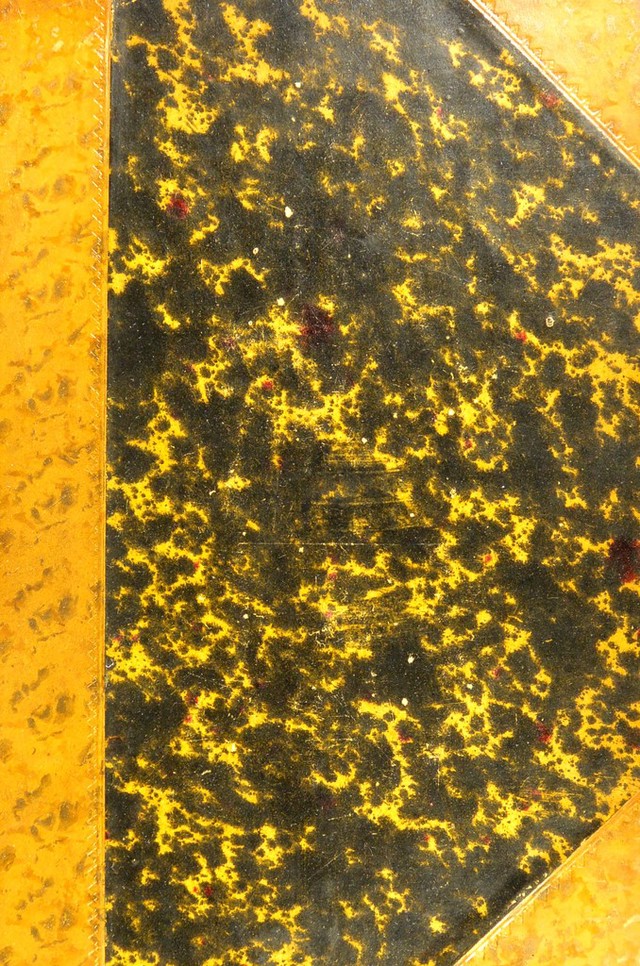 No text description is available for this image