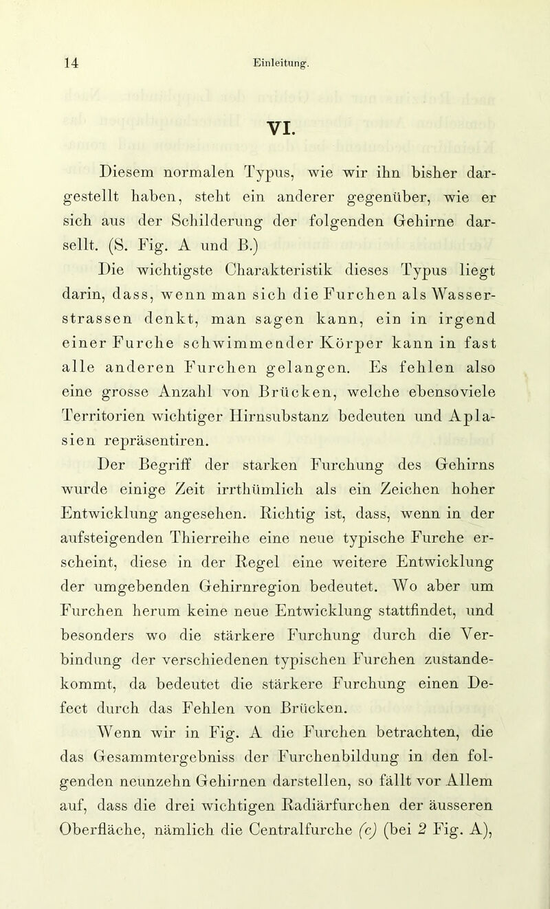 VI. Diesem normalen Typus, wie wir ihn bisher dar- gestellt haben, steht ein anderer gegenüber, wie er sich aus der Schilderung der folgenden Gehirne dar- sellt. (S. Fig. A und B.) Die wichtigste Charakteristik dieses Typus liegt darin, dass, wmnn man sich die Furchen als Wasser- strassen denkt, man sagen kann, ein in irgend einer Furche schwimmender Körper kann in fast alle anderen Furchen gelangen. Es fehlen also eine grosse Anzahl von Brücken, welche ebenso viele Territorien wichtiger Hirnsubstanz bedeuten und Apla- sien repräsentiren. Der Begriff der starken Furchung des Gehirns wurde einige Zeit irrthümlich als ein Zeichen hoher Entwicklung angesehen. Bichtig ist, dass, wenn in der aufsteigenden Thierreihe eine neue typische Furche er- scheint, diese in der Hegel eine weitere Entwicklung der umgebenden Gehirnregion bedeutet. Wo aber um Furchen herum keine neue Entwicklung stattfindet, und besonders wo die stärkere Furchung durch die Ver- bindung der verschiedenen typischen Furchen zustande- kommt, da bedeutet die stärkere Furchung einen De- fect durch das Fehlen von Brücken, Wenn wir in Fig. A die Furchen betrachten, die das Gesammtergebniss der Furchenbildung in den fol- genden neunzehn Gehirnen darstellen, so fällt vor Allem auf, dass die drei wichtigen Radiärfurchen der äusseren Oberfläche, nämlich die Centralfurche (cj (bei 2 Fig. A),