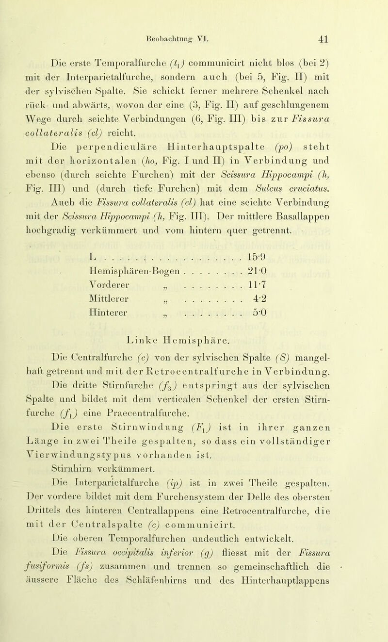 Die erste Temporalfiirehe communicirt nicht blos (bei 2) mit der Interparietalfiircbe, sondern aucli (bei 5, Fig. II) mit der sylviscbcn Spalte. Sie schickt ferner mehrere Schenkel nach rück- und abwärts^ wovon der eine (o, Fig. II) auf geschlungenem Wege durch seichte Verbindungen (G, Fig. III) bis zur Fissura collateralis (cl) reicht. Die perpendiculäre Hinterhauptspalte (^w) steht mit der horizontalen [ho, Fig. I und II) in Verbindung und ebenso (durch seichte Furchen) mit der Scissiira Hqrpocamin (h, Fig. III) und (durch tiefe Furchen) mit dem Sulcus cruciatus. Auch die Fissura collateralis (cl) hat eine seichte Verbindung mit der Scissura FLippocampi [h, Fig. III). Der mittlere Basallappen hochgradig verkümmert und vom hintern quer getrennt. L 159 llemisphären-Bogen 21'0 Vorderer „ 11'7 Mittlerer „ 4‘2 Hinterer ,, ö’O Linke Hemisphäre. Die Centralfurche (c) von der sylvischen Spalte (S) mangel- haft getrennt und mit der Retrocen tralfurche in Verbindung. Die dritte Stirnfurche entspringt aus der sylvischen Spalte und bildet mit dem verticalen Schenkel der ersten Stirn- furche (f\) eine Praecentralfurche. Die erste Stirnwindung (F^) ist in ihrer ganzen Länge in zwei Theile gespalten, so dass ein vollständiger Vierwindungstypus vorhanden ist. Stirnhirn verkümmert. Die Interparietalfurche (ip) ist in zwei Theile gespalten. Der vordere bildet mit dem Furchensystem der Delle des obersten Di'ittels des hinteren Centrallappens eine Retrocentralfurche, die mit der Centralspalte (c) commiinicirt. Die oberen Temporalfurchen undeutlich entwickelt. Die Fissura occipitalis inferior (g) fliesst mit der Fissura J-usiforniis (fs) zusammen und trennen so gemeinschaftlich die äussere Fläche des Schläfenhirns und des Hinterhauptlappens