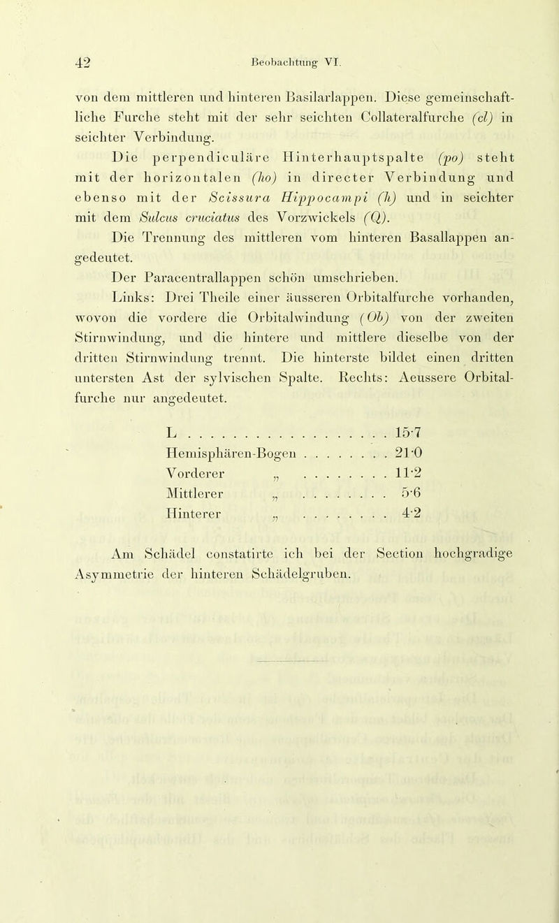 von dem mittleren und hinteren Basilarlappen. Diese gemeinschaft- liche Furche steht mit der sehr seichten Collateralfurche (cl) in seichter Verbindung. Die perpendiculäre Hinterhauptsj^alte (jpo) steht mit der horizontalen (ho) in director Verbindung und ebenso mit der Sc iss lira Hifiiocampi (li) und in seichter mit dem Sulcus cruciatus des VorzAvickels (Q). Die Trennung des mittleren vom hinteren Basallappen an- gedeutet. Der Paracentrallappen schön umschrieben. Links: Drei Theile einer äusseren Orbitalfurche vorhanden, wovon die vordere die Orbitalwindung (Oh) von der zweiten Stirnwindung, und die hintere und mittlere dieselbe von der dritten Stirnwindung trennt. Die hinterste bildet einen dritten untersten Ast der sylvischen Spalte. Rechts: Aeussere Orbital- furche nur angedeutet. L 15-7 Hemisphären-Bogen 21'0 Vorderer „ 11'2 Mittlerer „ 5‘6 Hinterer „ 4’2 Am Schädel constatirte ich bei der Section hochgradige Asymmetrie der hinteren Schädelgruben.