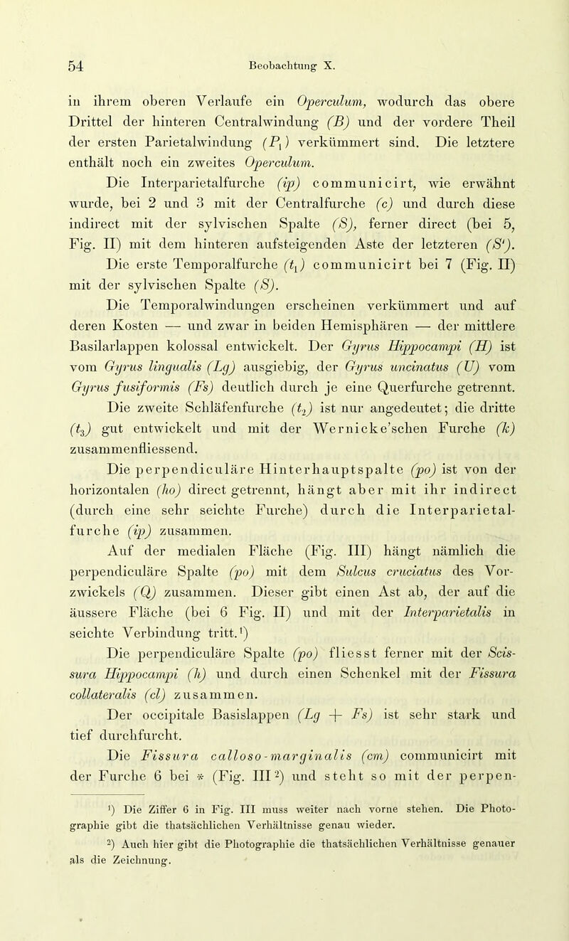 ill ihrem oberen Verlaufe ein Operculum, wodurch das obere Drittel der hinteren Centralwindung (B) und der vordere Theil der ersten Parietalwindung (P,) verkümmert sind. Die letztere enthält noch ein zweites Operculum. Die Interparietalfurche (ip) communicirt, wie erwähnt wurde, bei 2 und 3 mit der Centralfurche (c) und durch diese indirect mit der sylvischen Spalte (8), ferner direct (bei 5, Fig. II) mit dem hinteren aufsteigenden Aste der letzteren (S‘). Die erste Temporalfurche (h) communicirt bei 7 (Fig. II) mit der sylvischen Spalte (S). Die Temporalwindungen erscheinen verkümmert und auf deren Kosten — und zwar in beiden Hemisphären — der mittlere Basilarlappen kolossal entwickelt. Der Gyrus Hippocampi (H) ist vom Gyrus lingualis (Lg) ausgiebig, der Gyrus uncinatus (U) vom Gyrus fusiformis (Fs) deutlich durch je eine Querfurche getrennt. Die zweite Schläfenfurche (t.^) ist nur angedeutet; die dritte (h) entwickelt und mit der Wernicke’schen Furche (k) zusammenfliessend. Die perpendiculäre Hinterhauptspalte (po) ist von der horizontalen (ho) direct getrennt, hängt aber mit ihr indirect (durch eine sehr seichte Furche) durch die Interparietal- furche (ij)) zusammen. Auf der medialen Fläche (Fig. HI) hängt nämlich die perpendiculäre Spalte (po) mit dem Sulcus cruciatus des Vor- zwickels (Q) zusammen. Dieser gibt einen Ast ab, der auf die äussere Fläche (bei 6 Fig. II) und mit der Interparietalis in seichte Verbindung tritt.') Die perpendiculäre Spalte (po) flies st ferner mit der Scis- sura Hippocampi (h) und durch einen Schenkel mit der Fissura collateralis (cl) zusammen. Der occipitale Basislappen (Lg -(- FL) ist sehr stark und tief durchfurcht. Die Fissura calloso-marginalis (cm) communicirt mit der Furche 6 bei * (Fig. IIP) und steht so mit der perpen- ') Die Ziffer 6 in Fig. III muss weiter nach vorne stehen. Die Photo- graphie gibt die thatsächlichen Verhältnisse genau wieder. -) Auch hier gibt die Photographie die thatsächlichen Verhältnisse genauer als die Zeichnung.